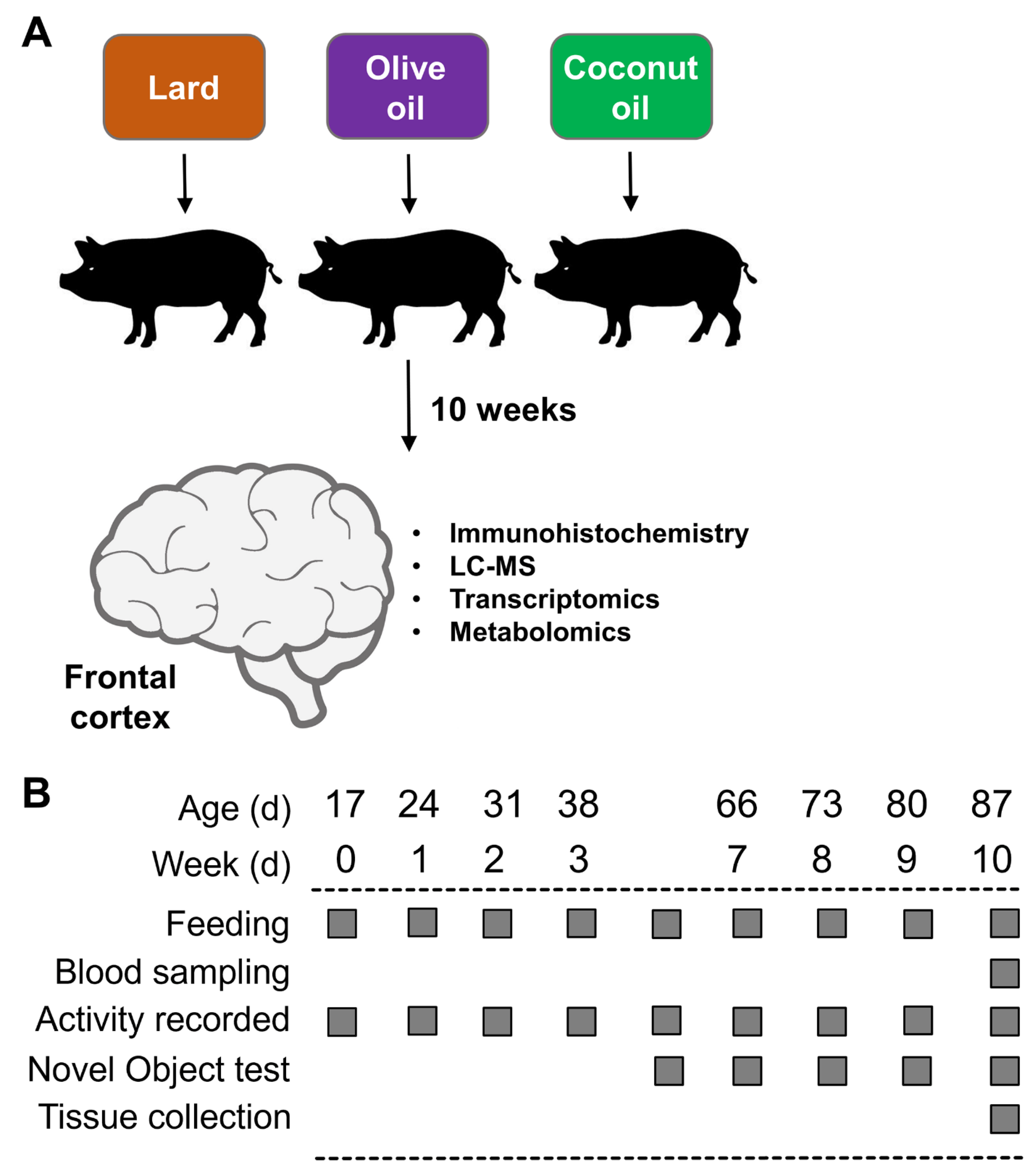Brainsci 12 01193 g001
