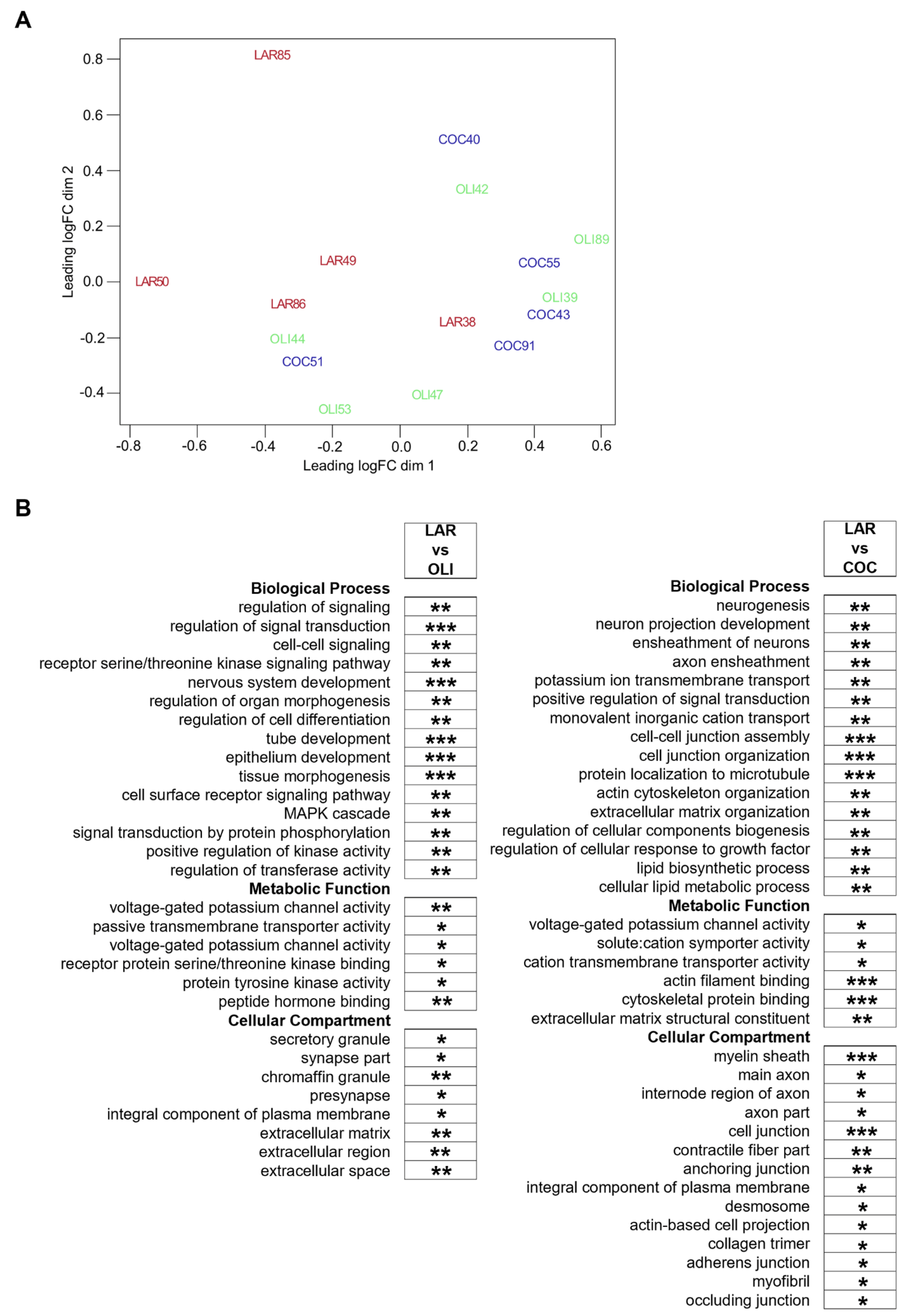 Brainsci 12 01193 g006