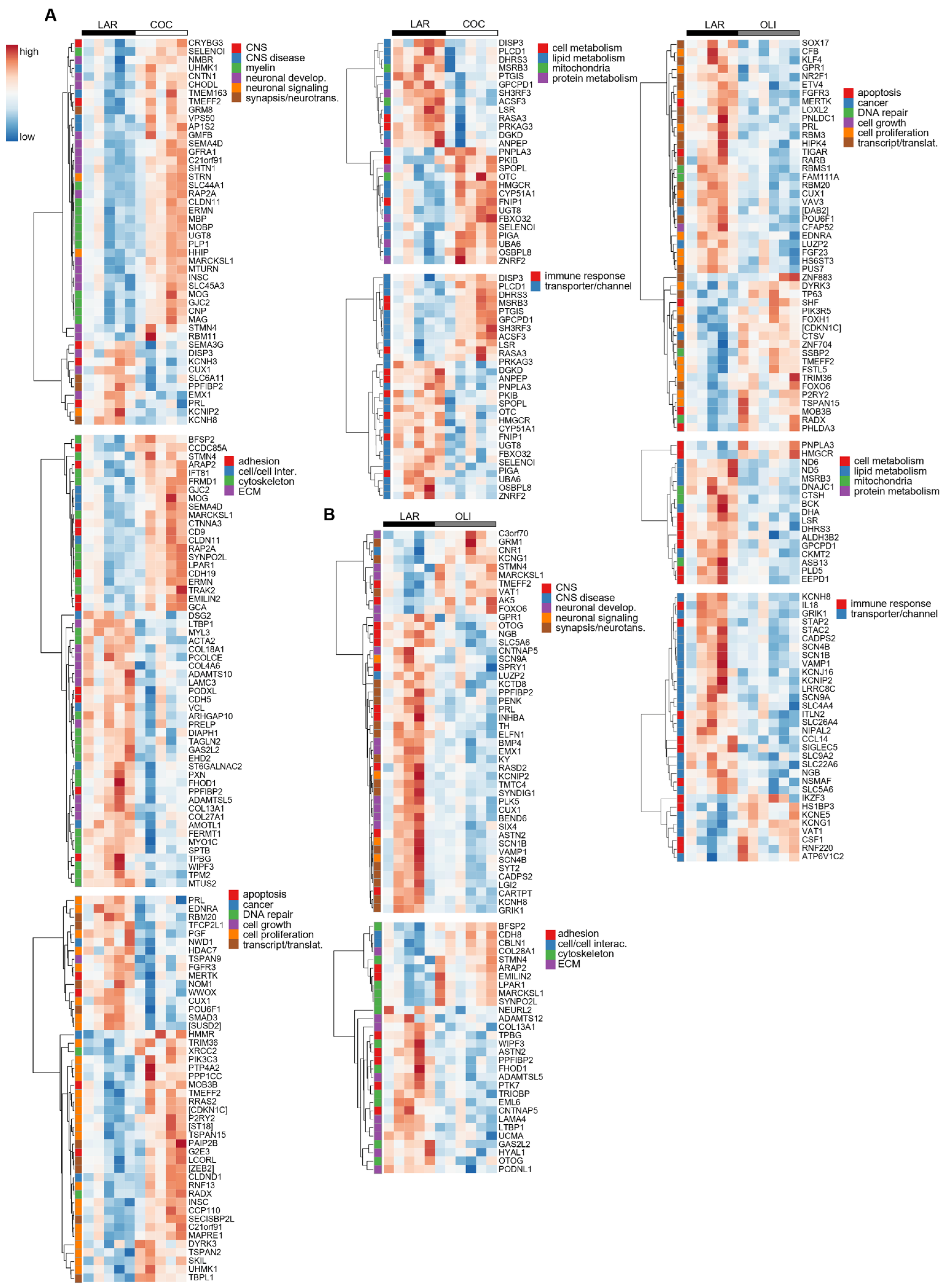 Brainsci 12 01193 g007
