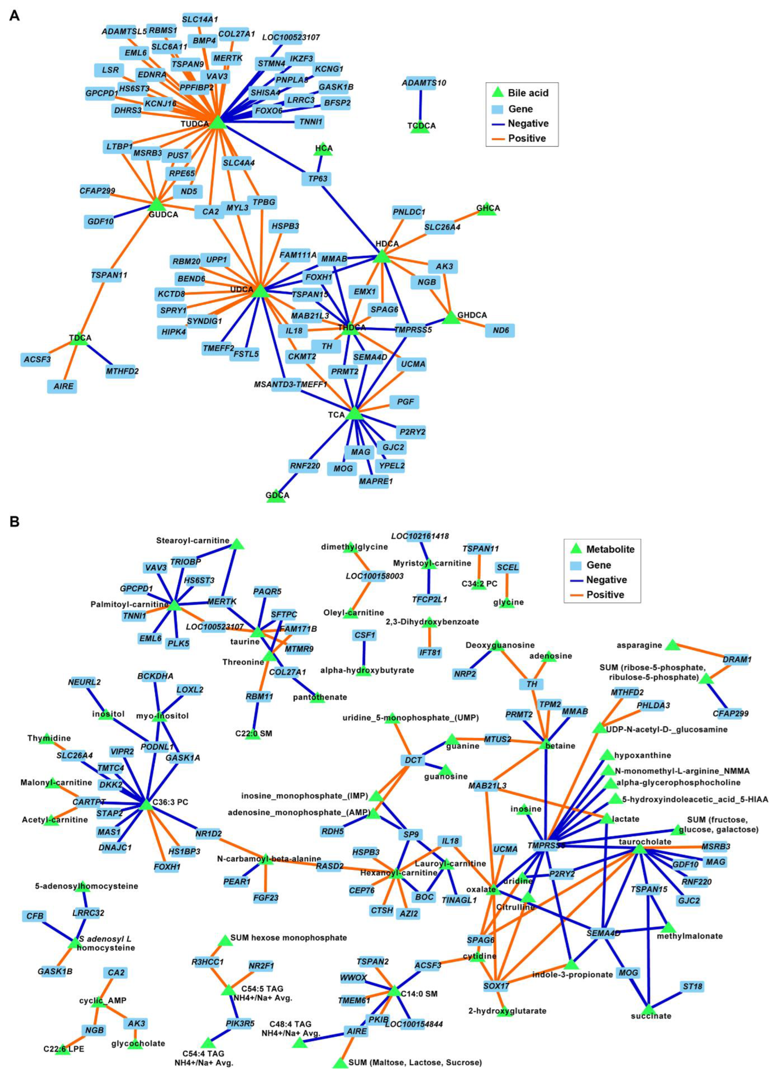 Brainsci 12 01193 g008