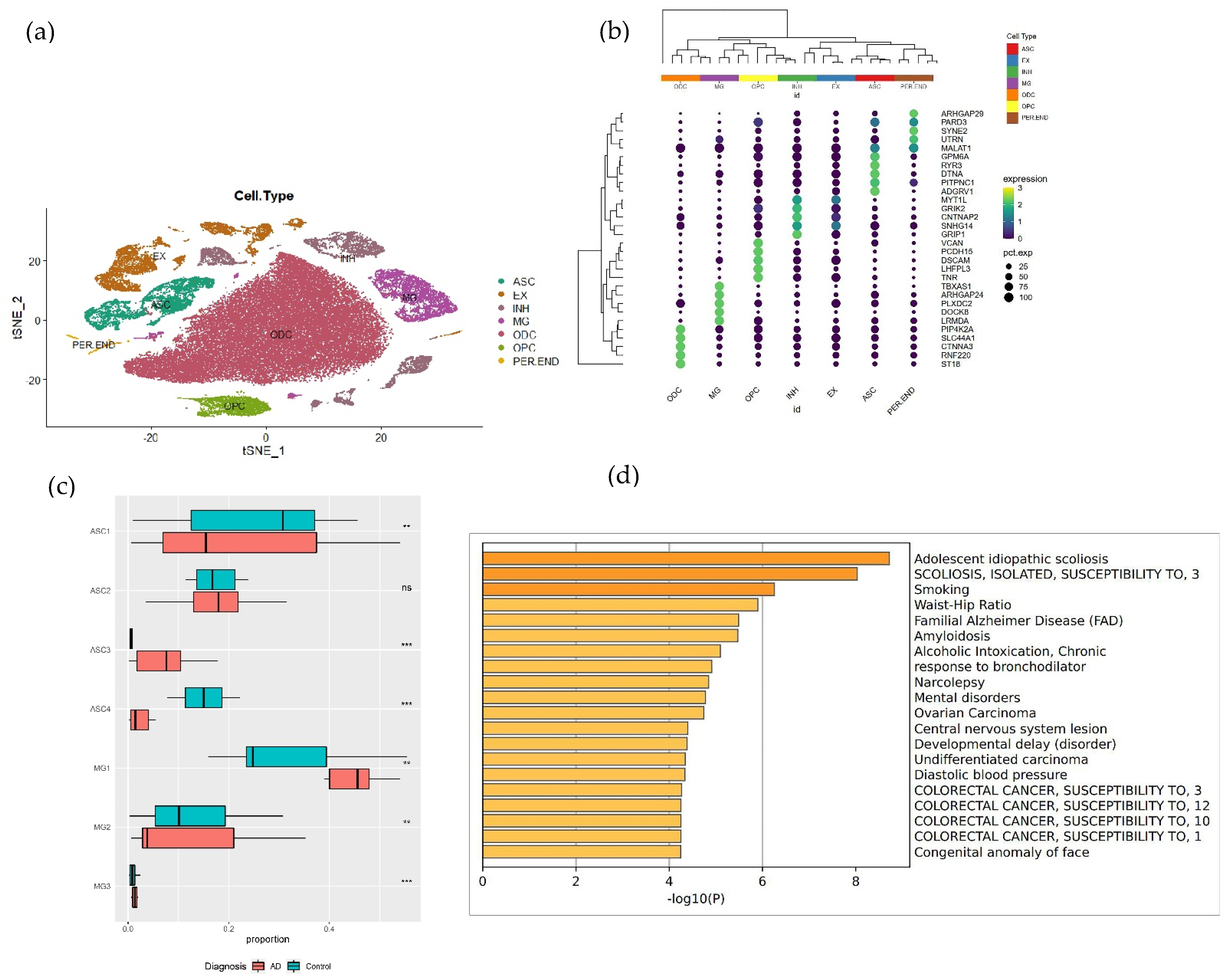 Brainsci 12 01196 g002