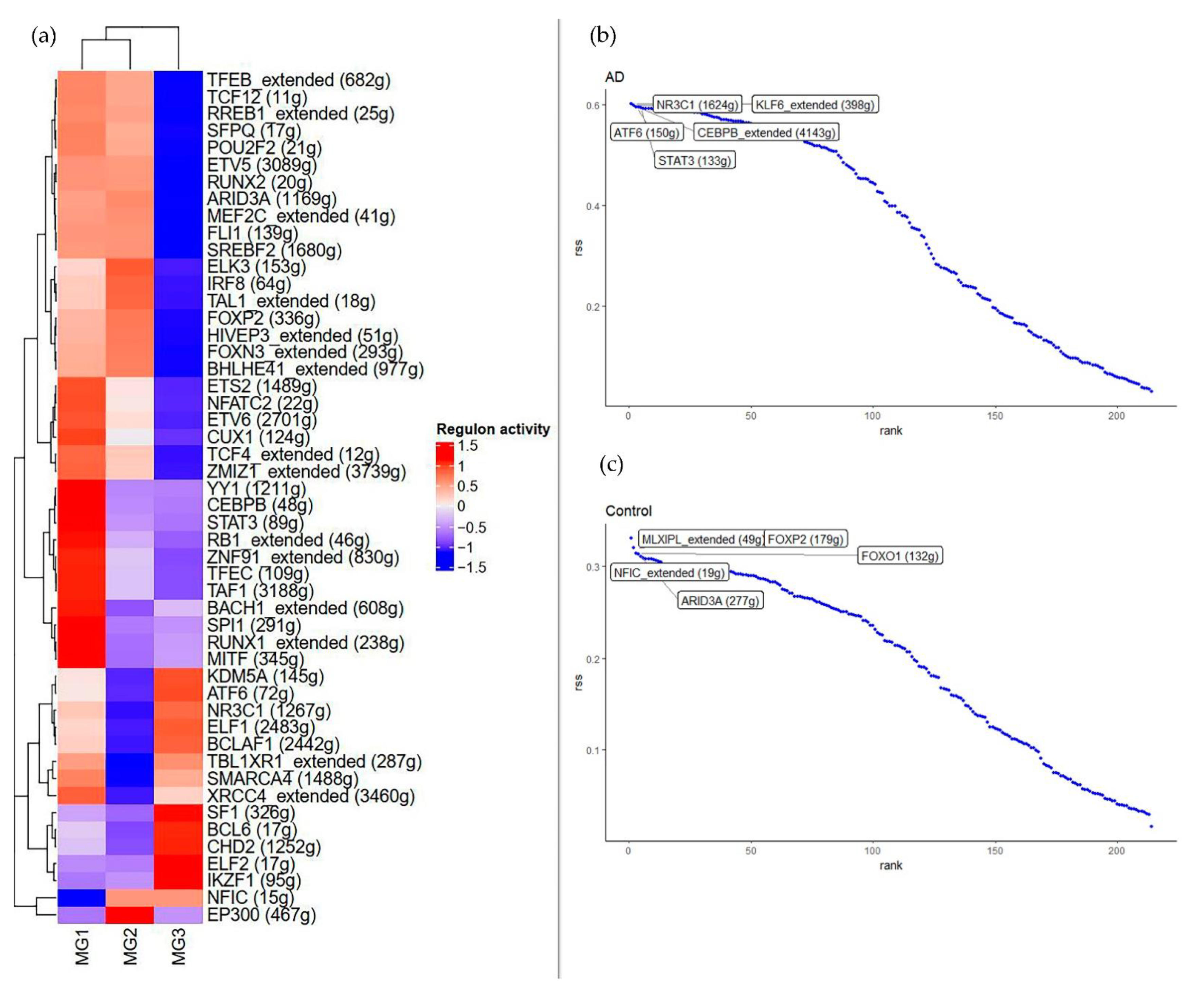 Brainsci 12 01196 g003