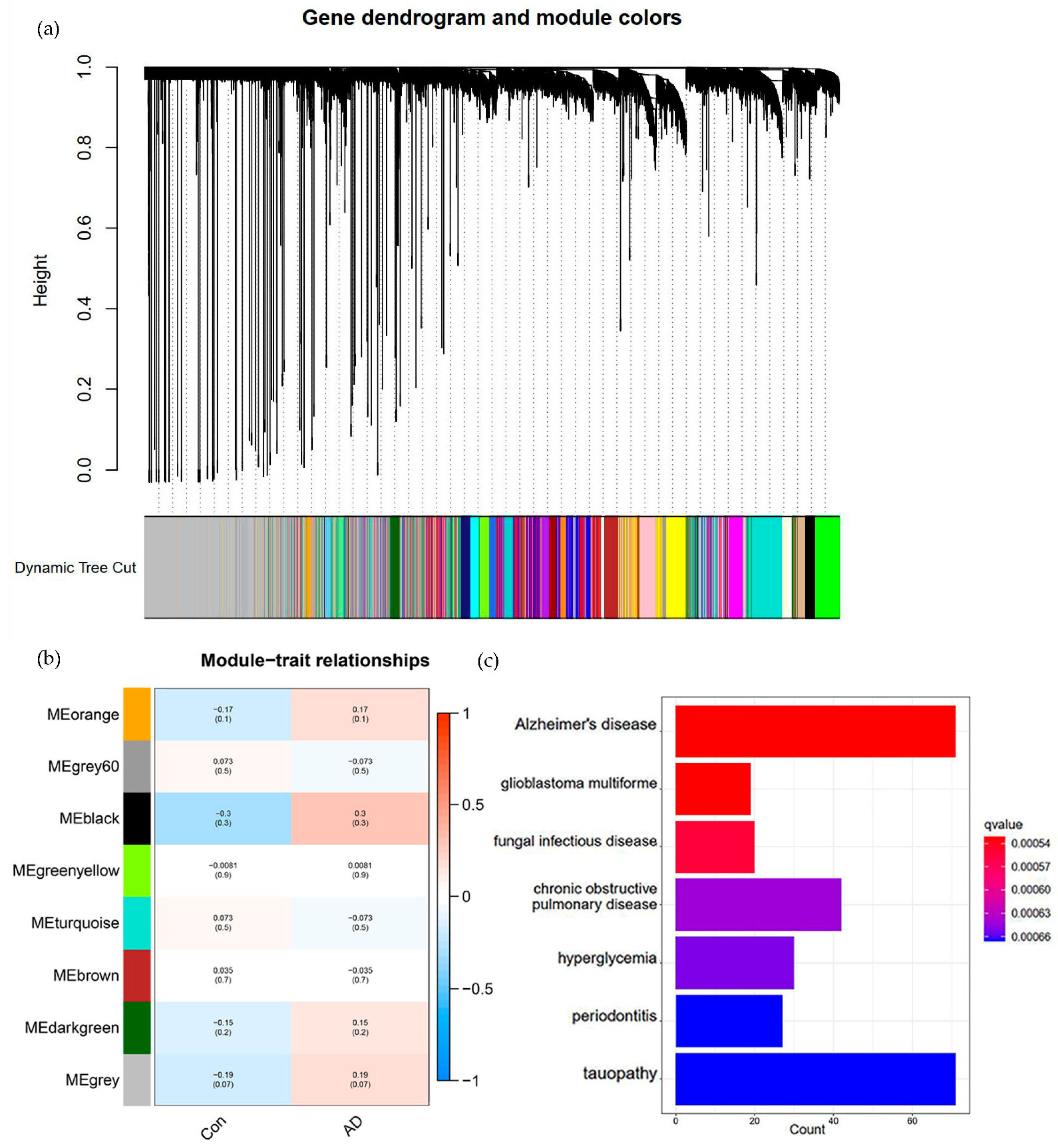 Brainsci 12 01196 g004