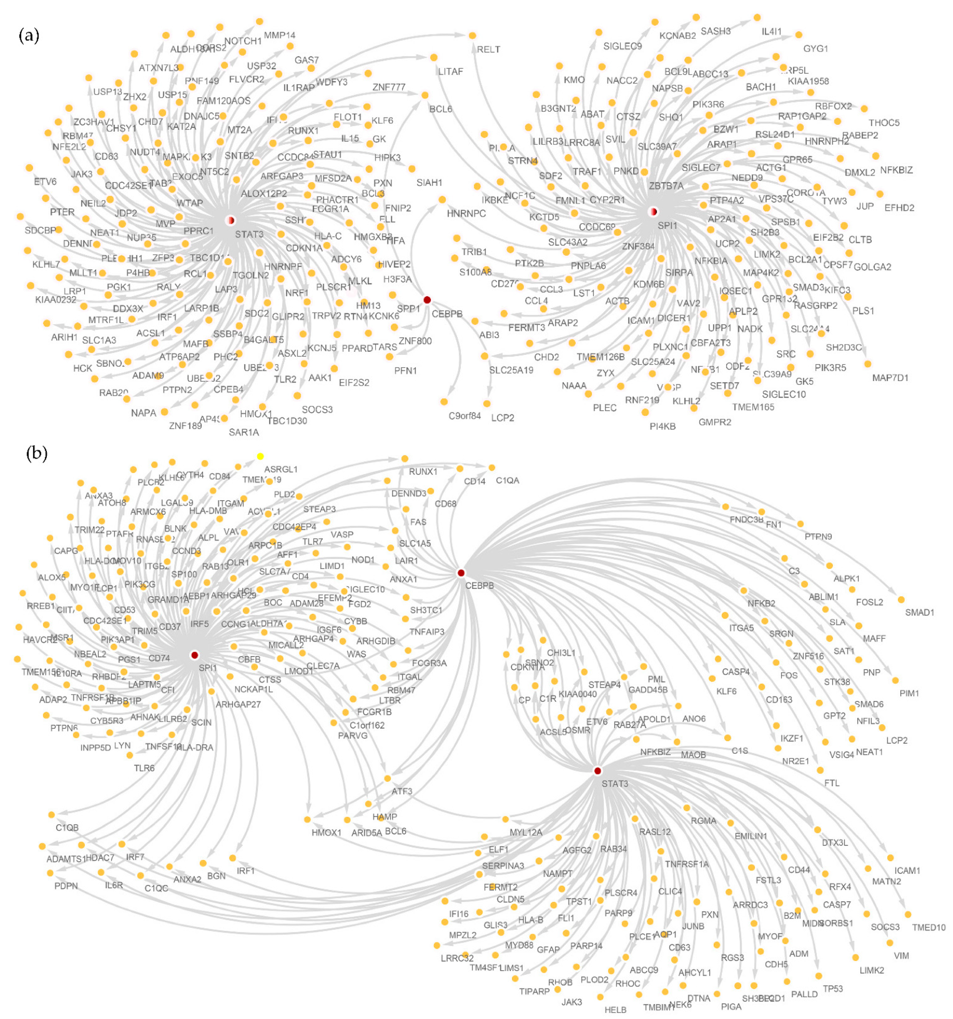 Brainsci 12 01196 g006