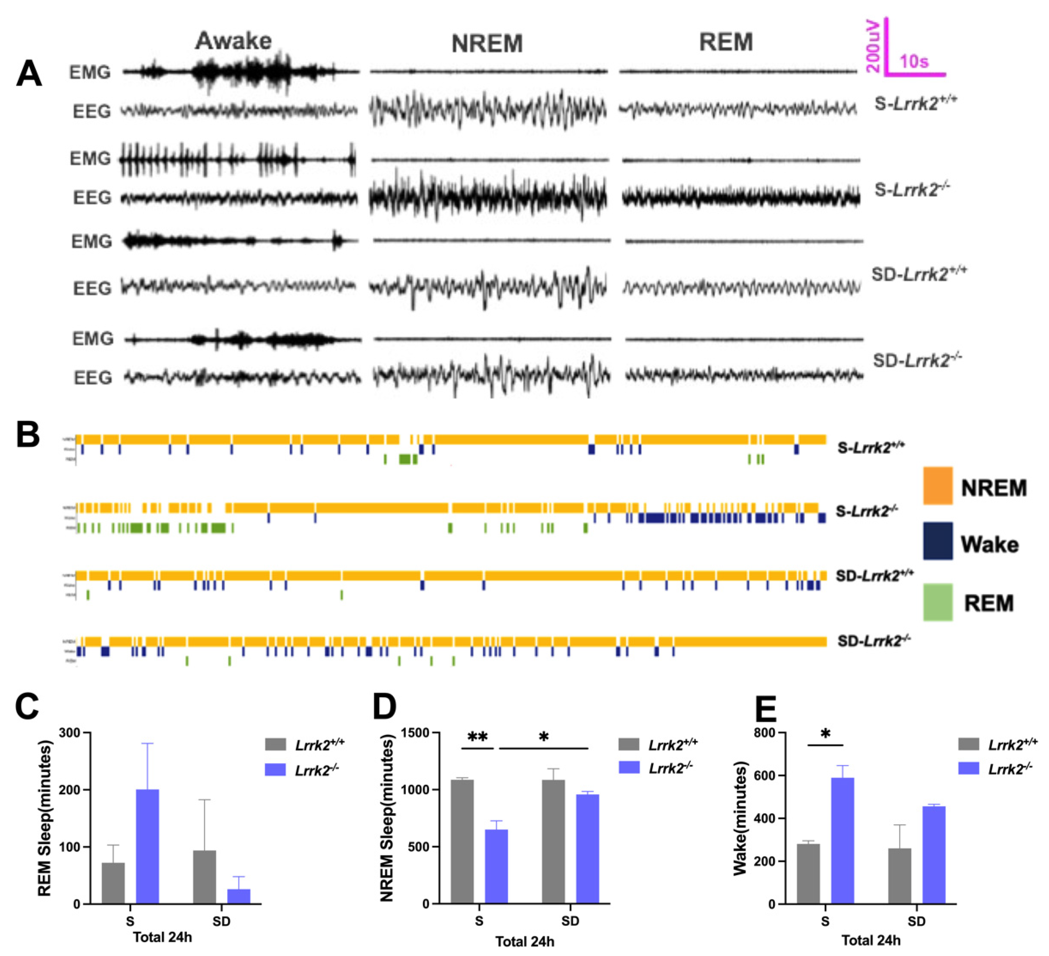 Brainsci 12 01200 g001