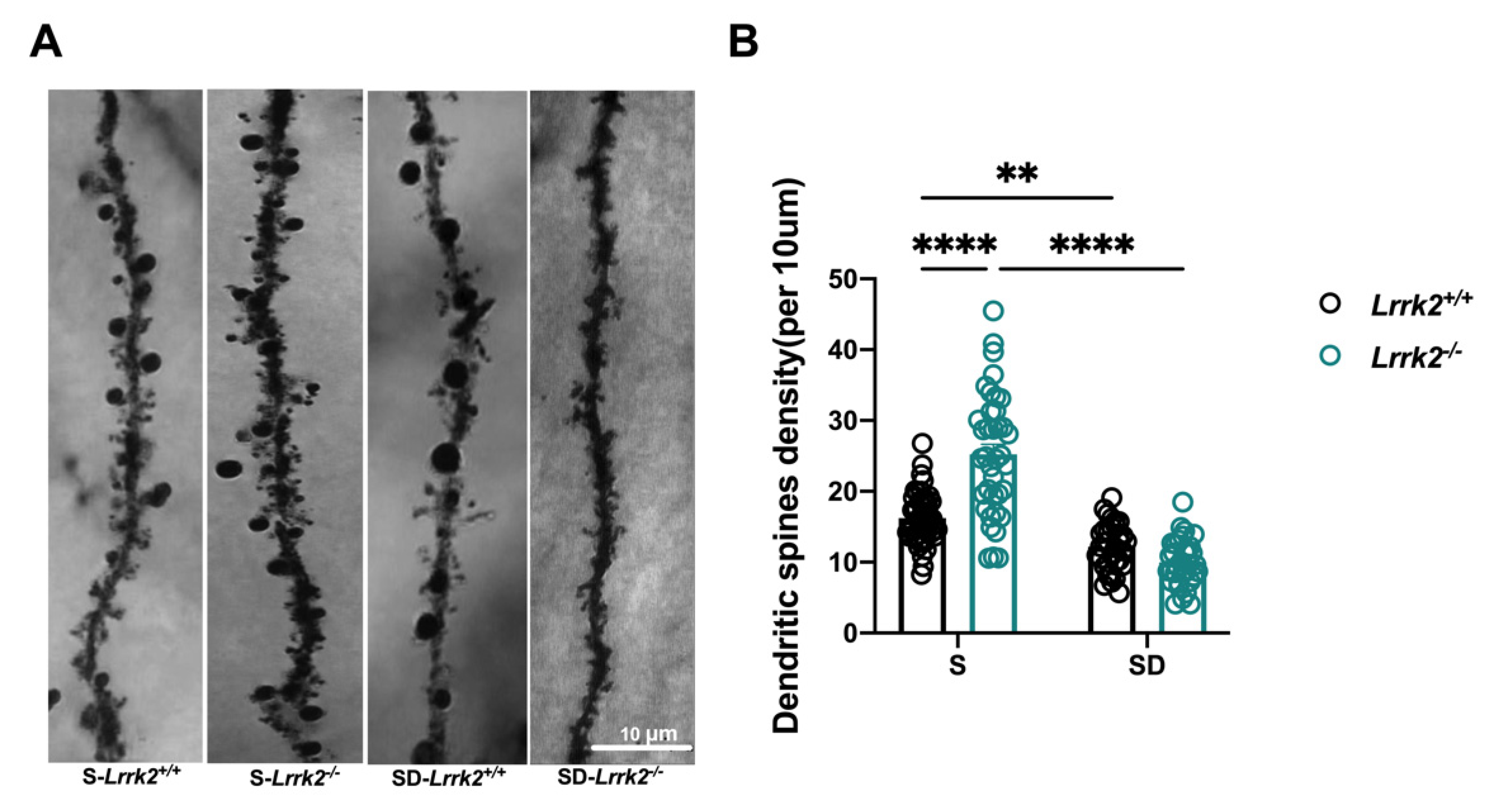 Brainsci 12 01200 g002