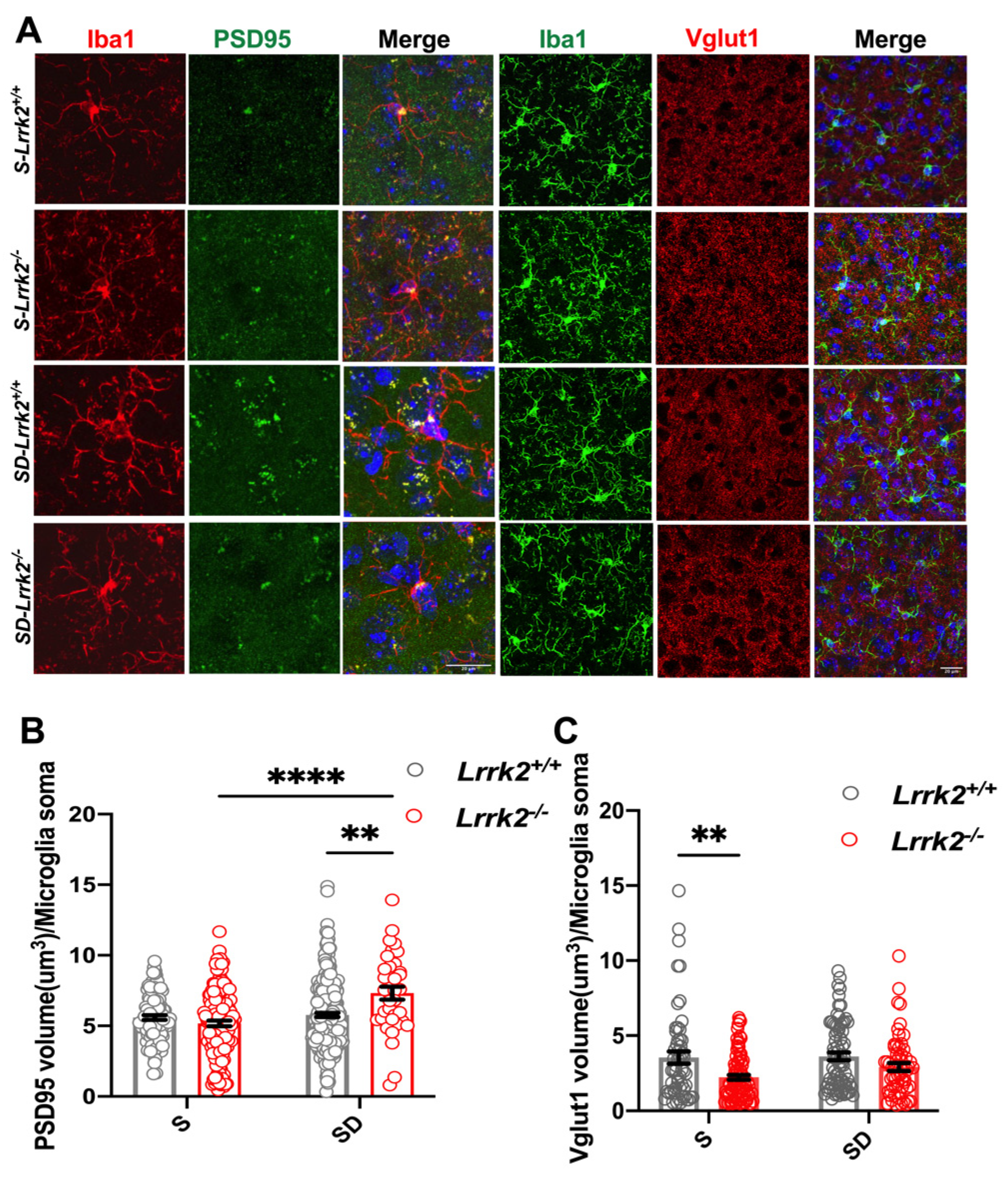 Brainsci 12 01200 g004