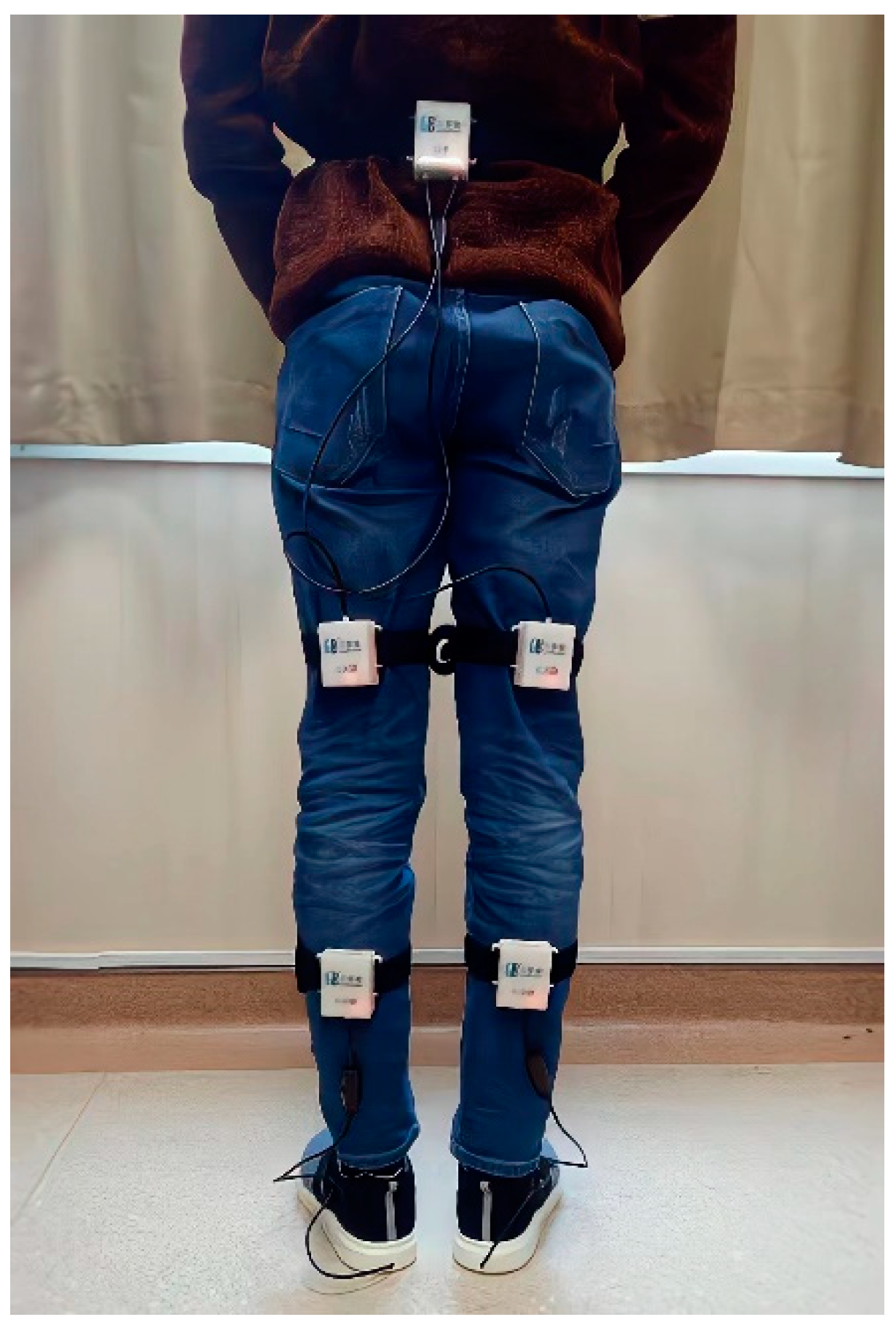 Brainsci 12 01213 g001