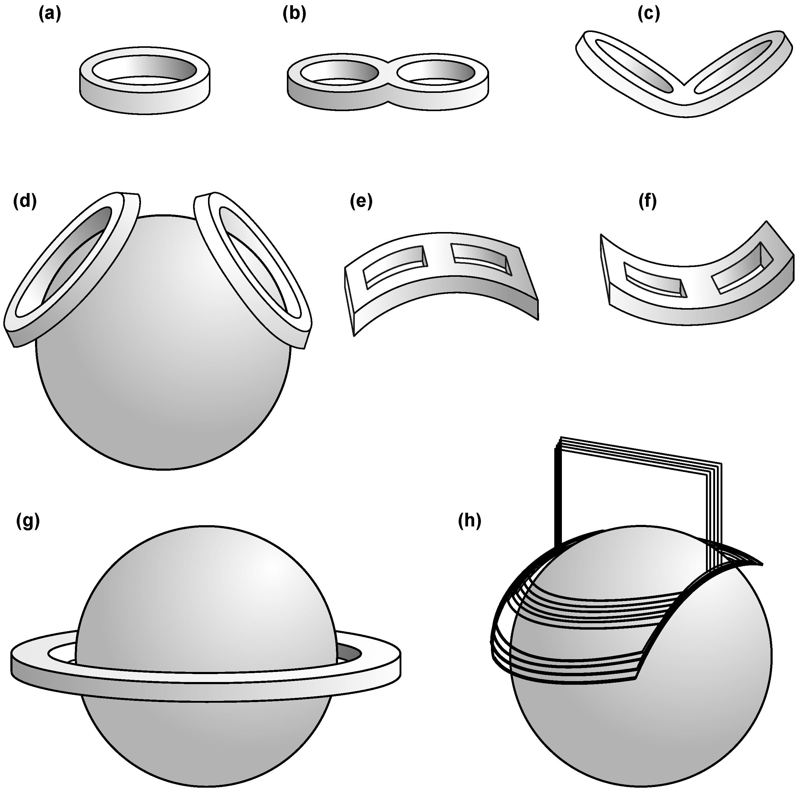 Brainsci 12 01218 g005 Brainsci 12 01218 g005