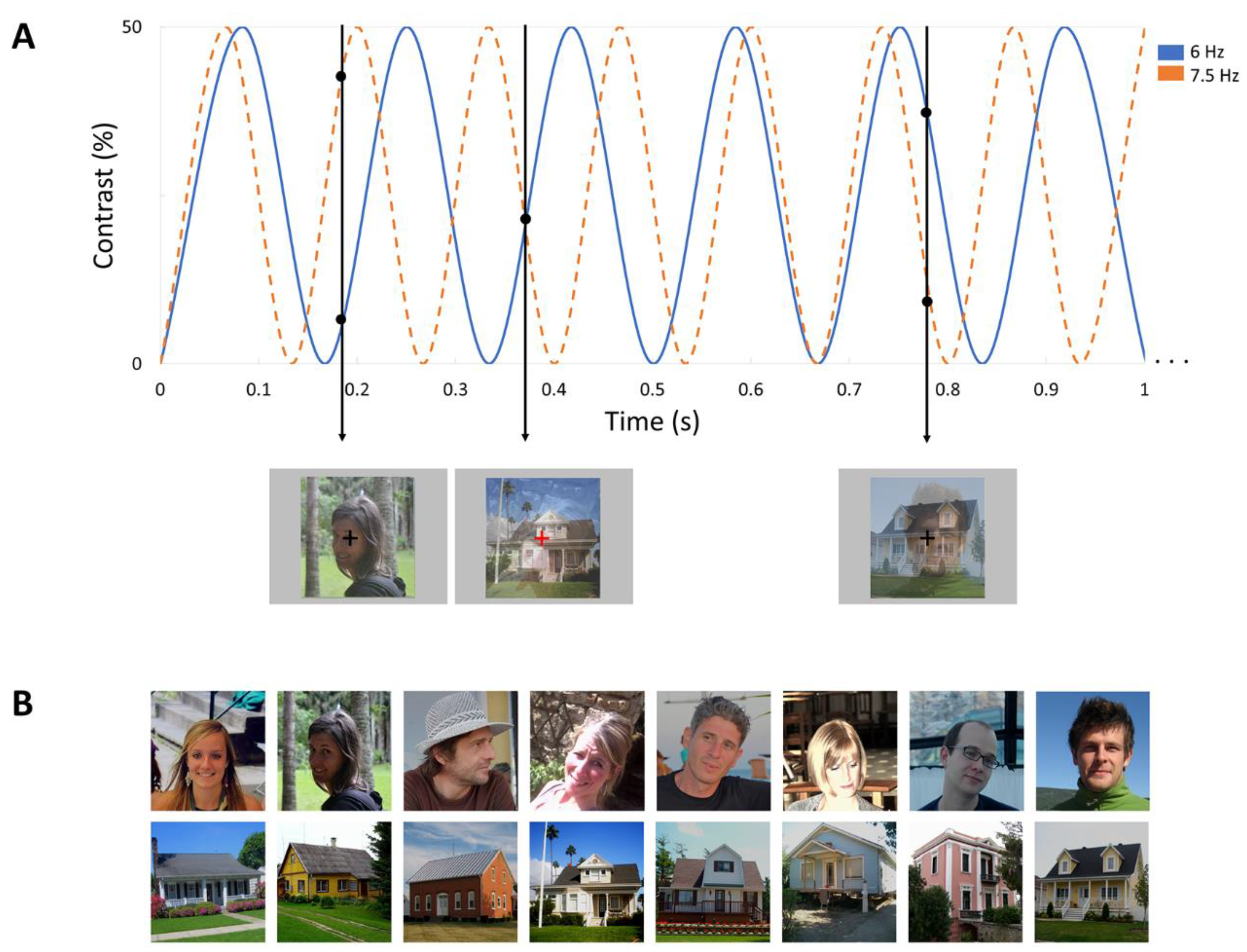 Brainsci 12 01224 g001