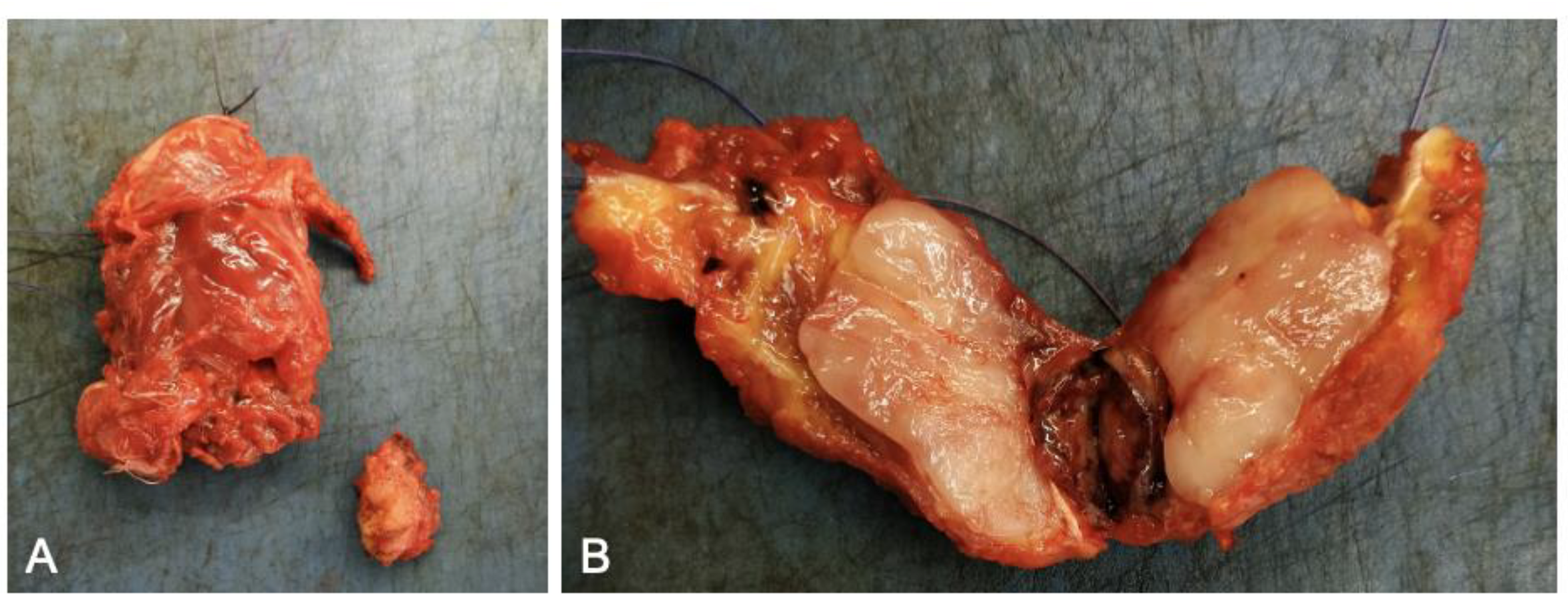 Brainsci 12 01227 g004