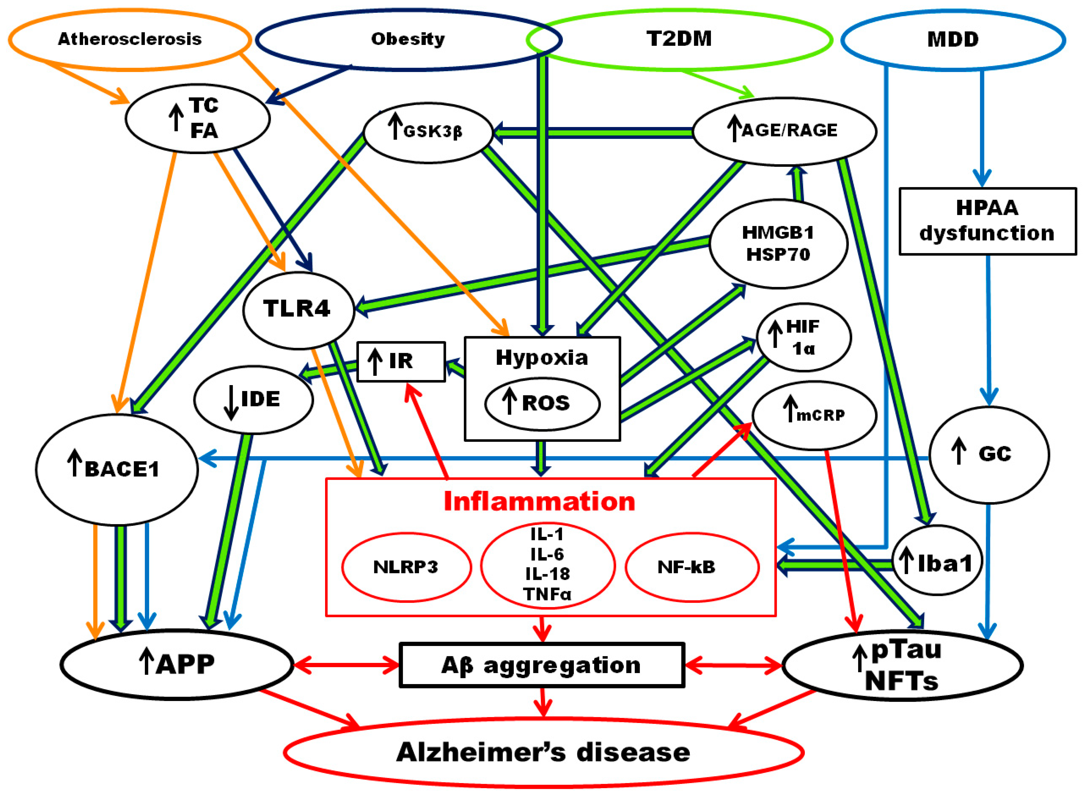 Brainsci 12 01237 g001