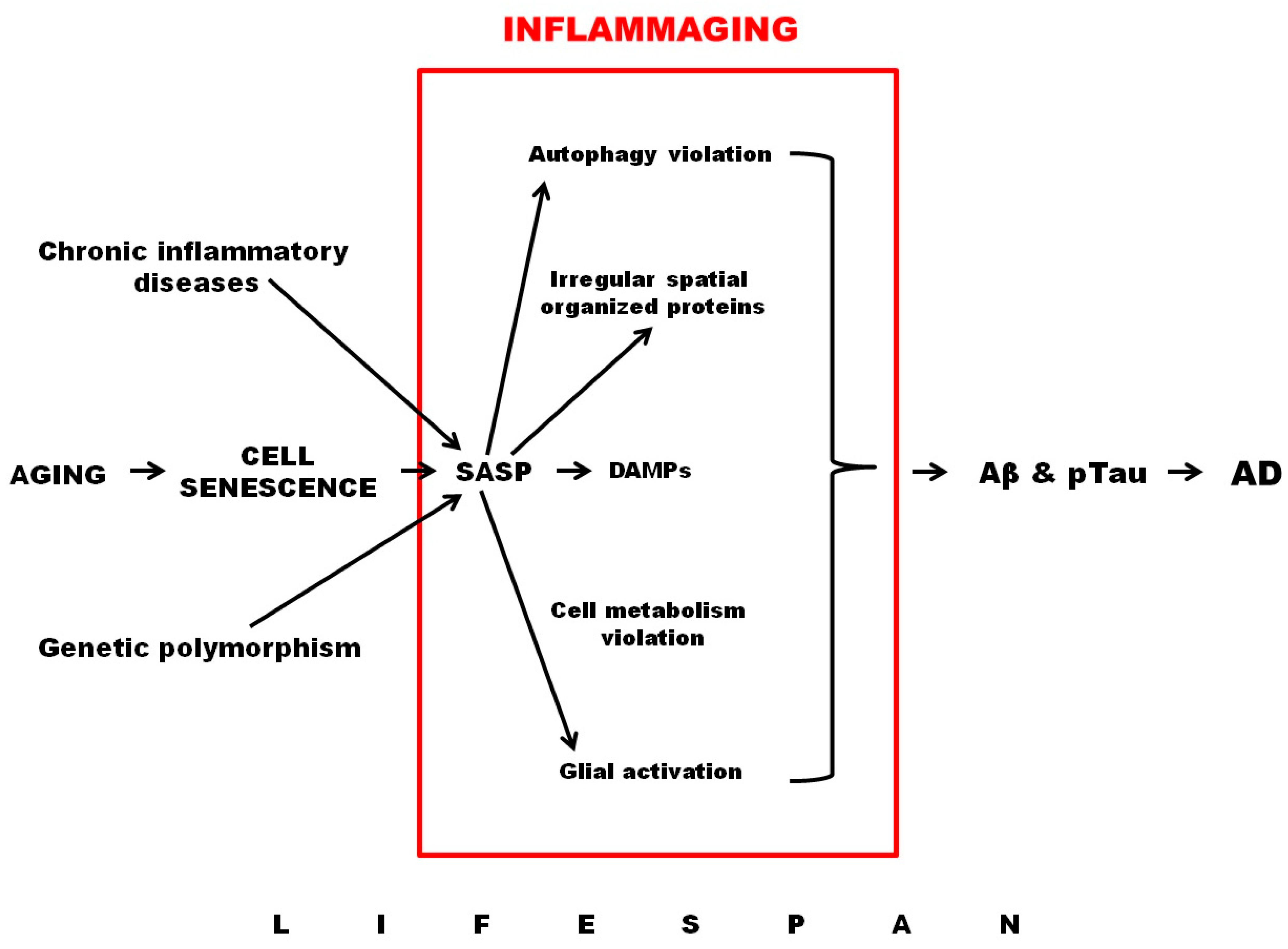 Brainsci 12 01237 g002