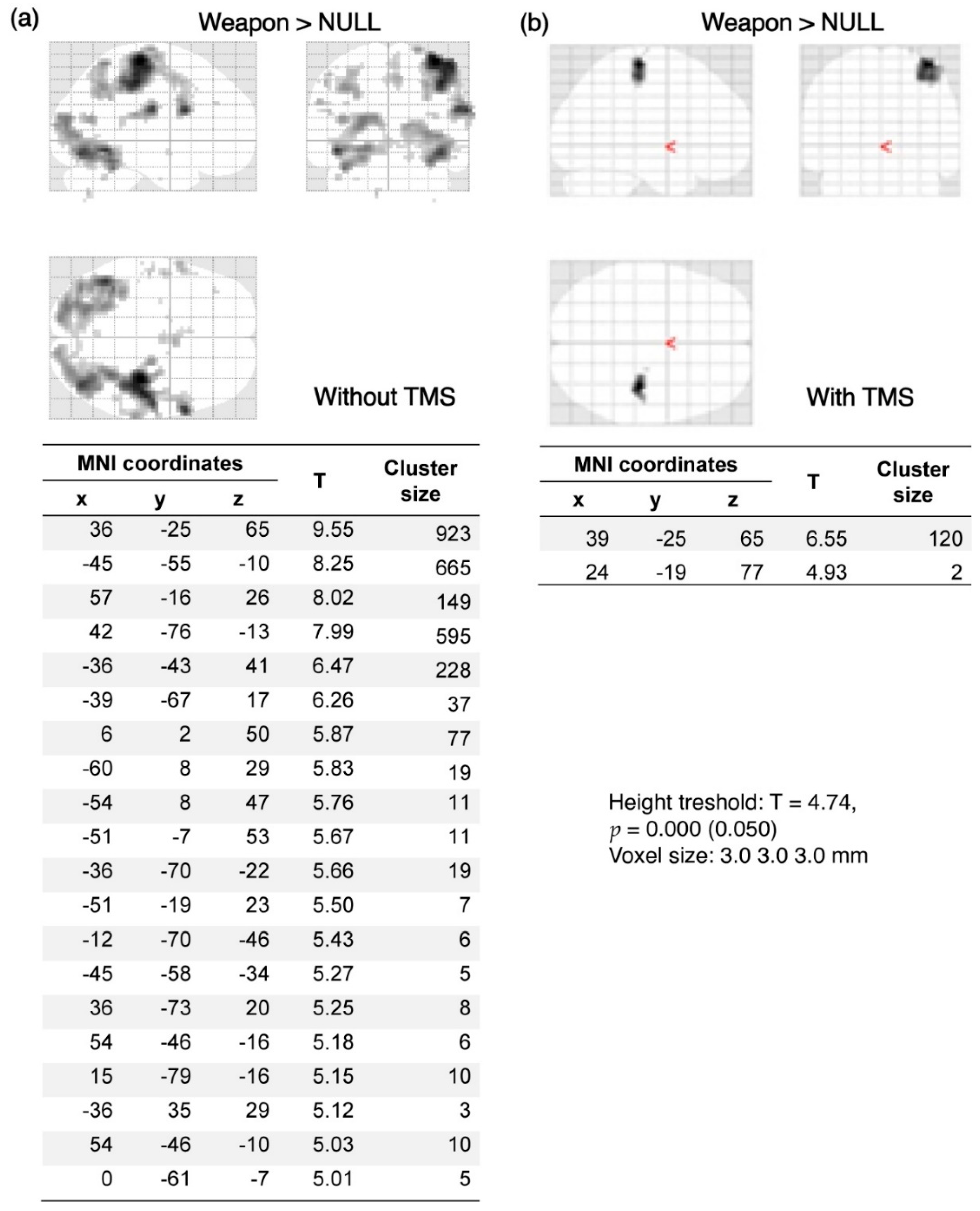 Brainsci 12 01241 g004