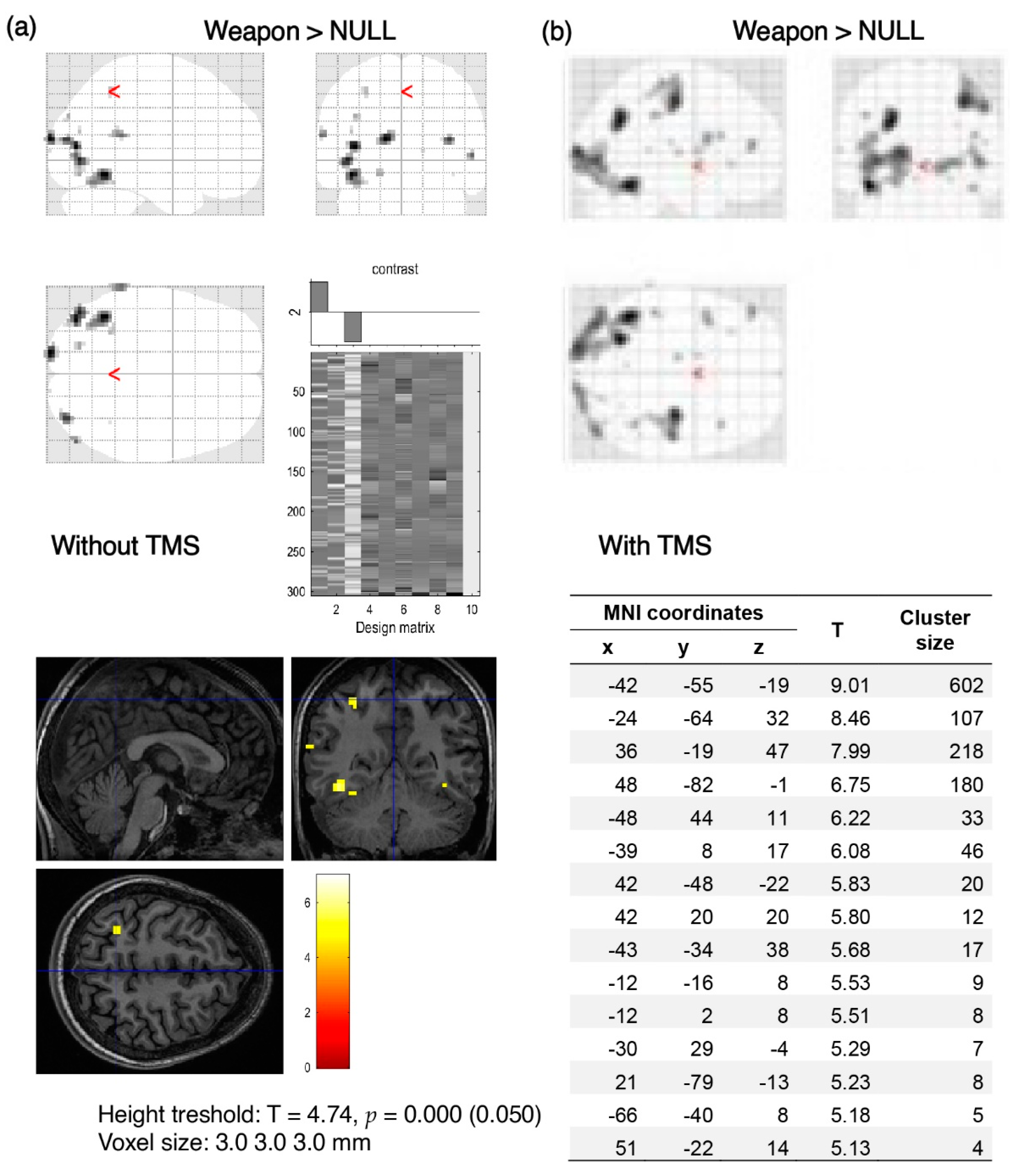 Brainsci 12 01241 g006