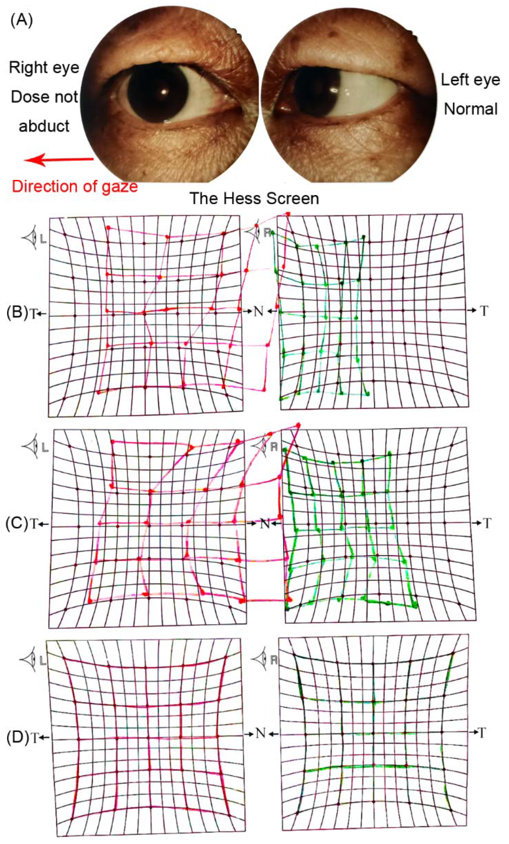 Brainsci 12 01242 g001