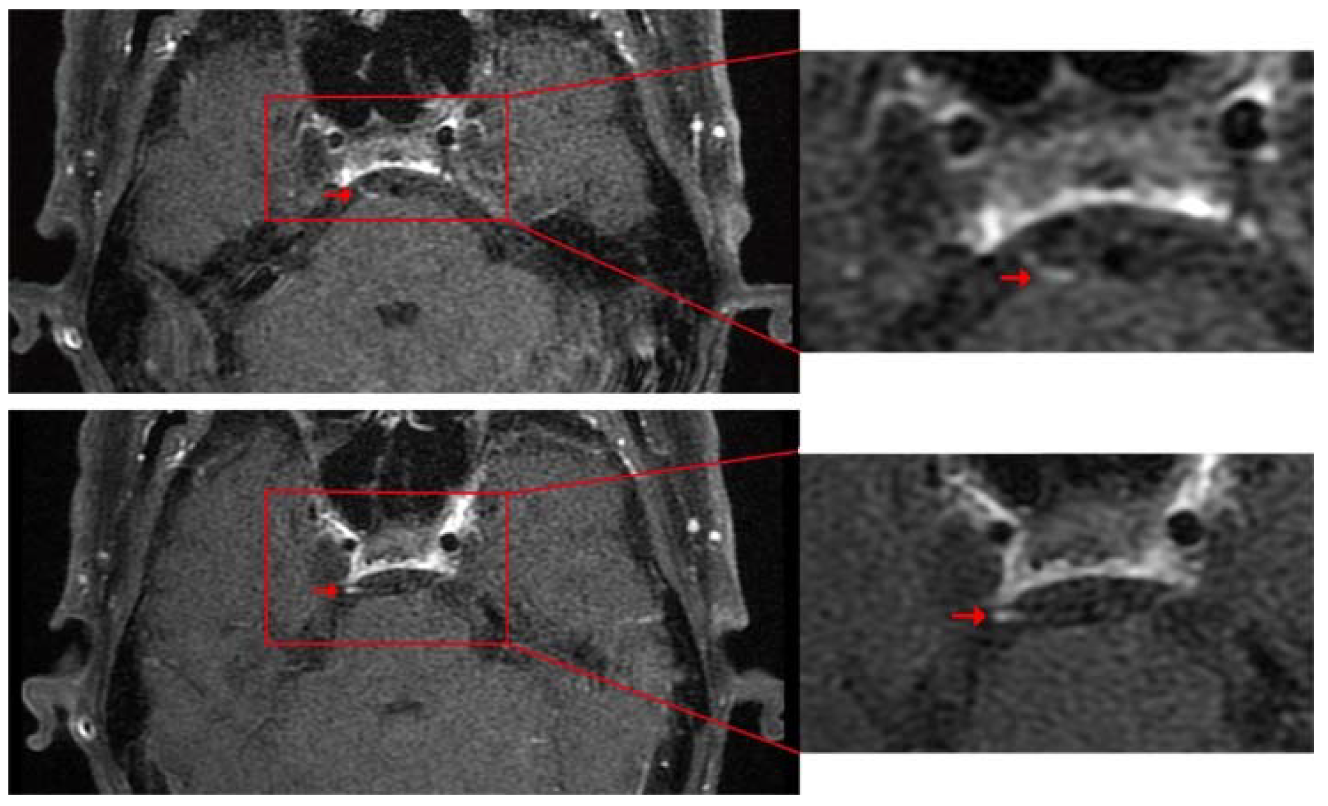 Brainsci 12 01242 g002