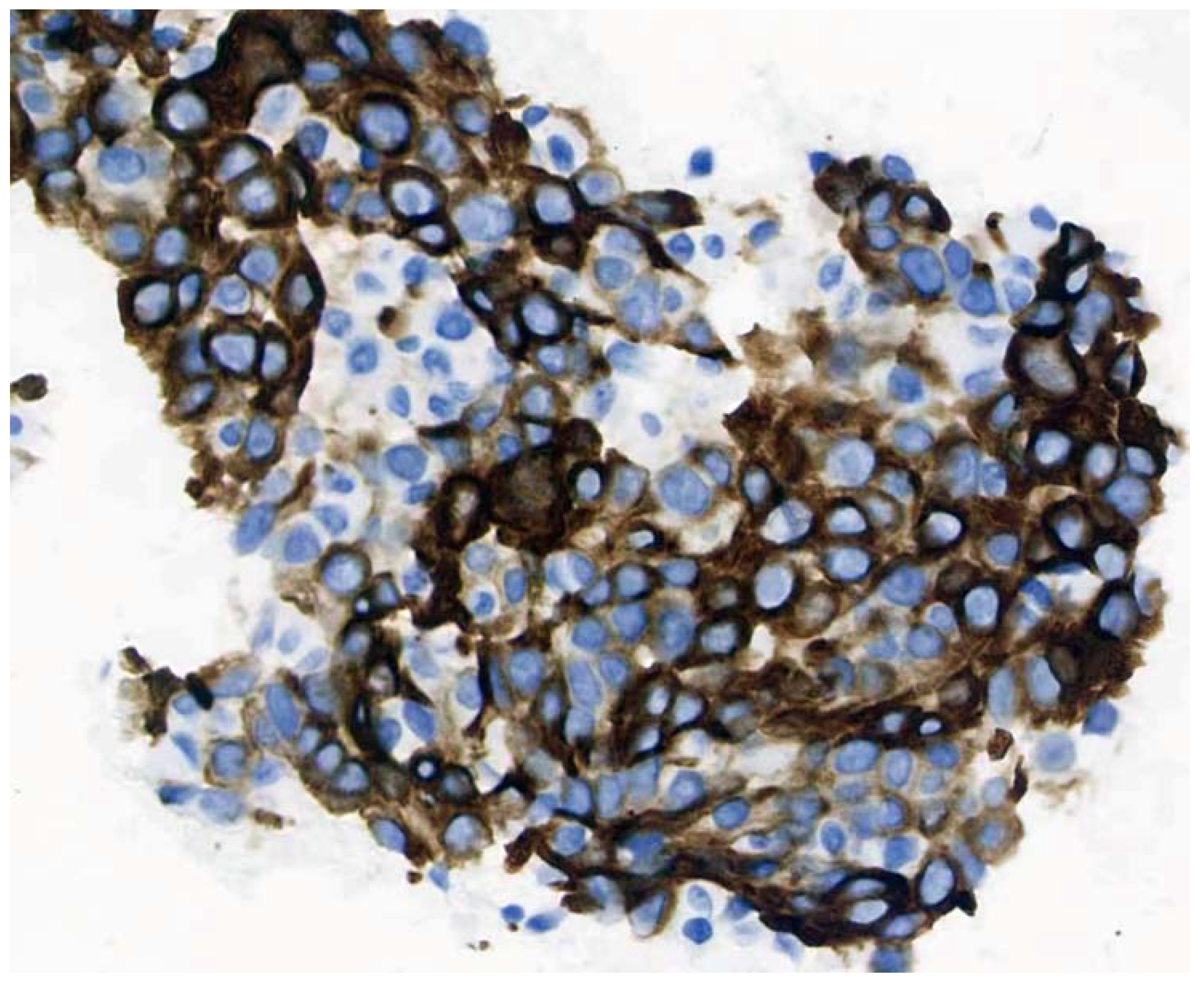 Brainsci 12 01242 g004