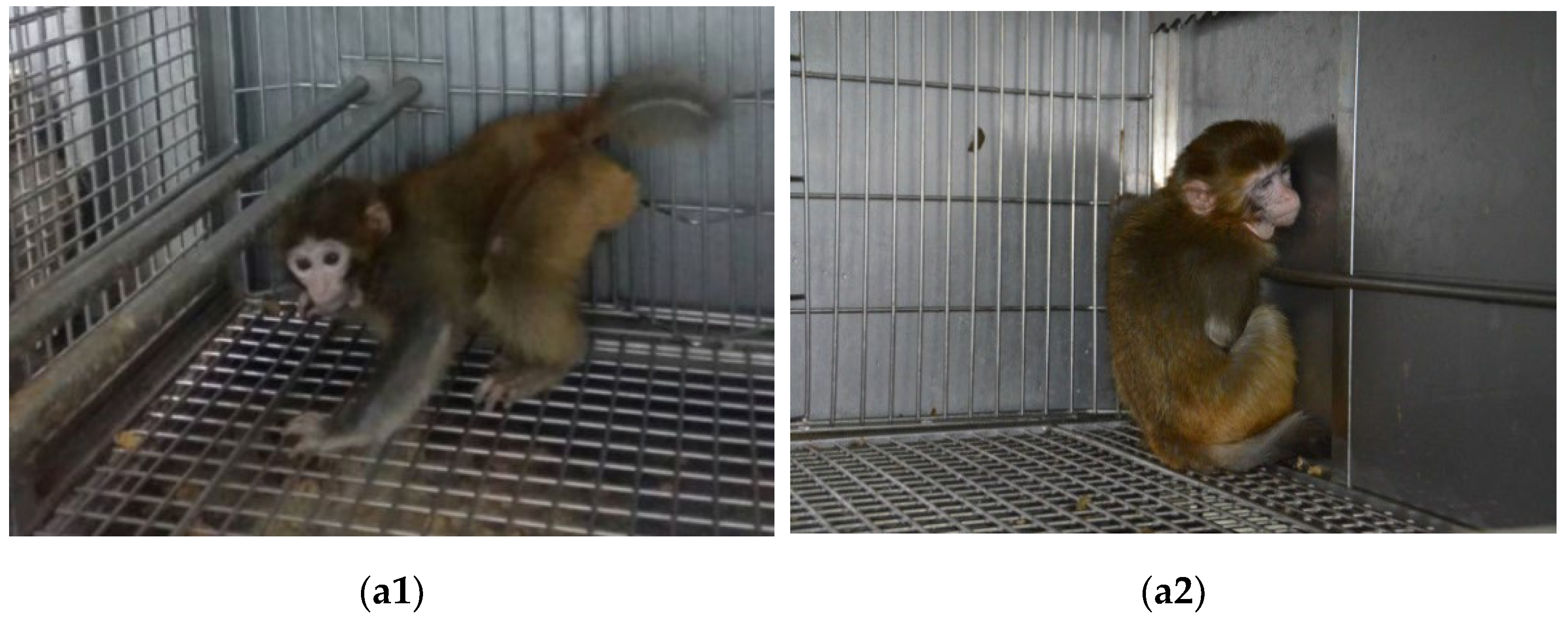 Brainsci 12 01243 g001a