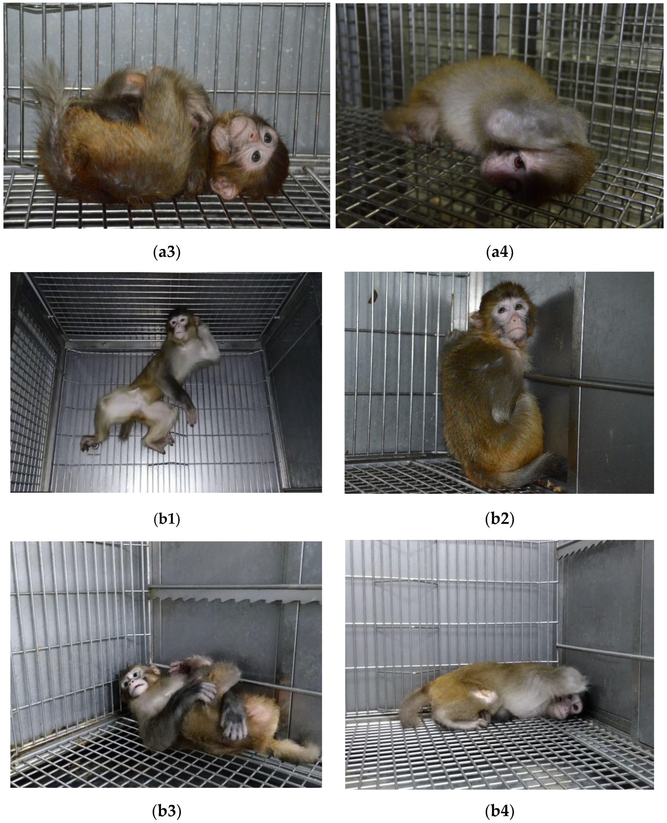 Brainsci 12 01243 g001b