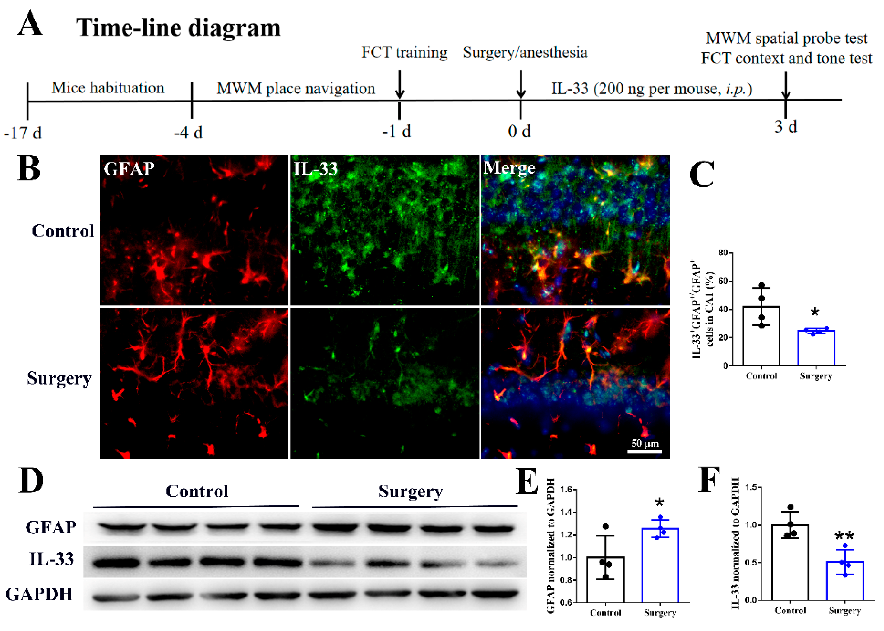 Brainsci 12 01244 g001