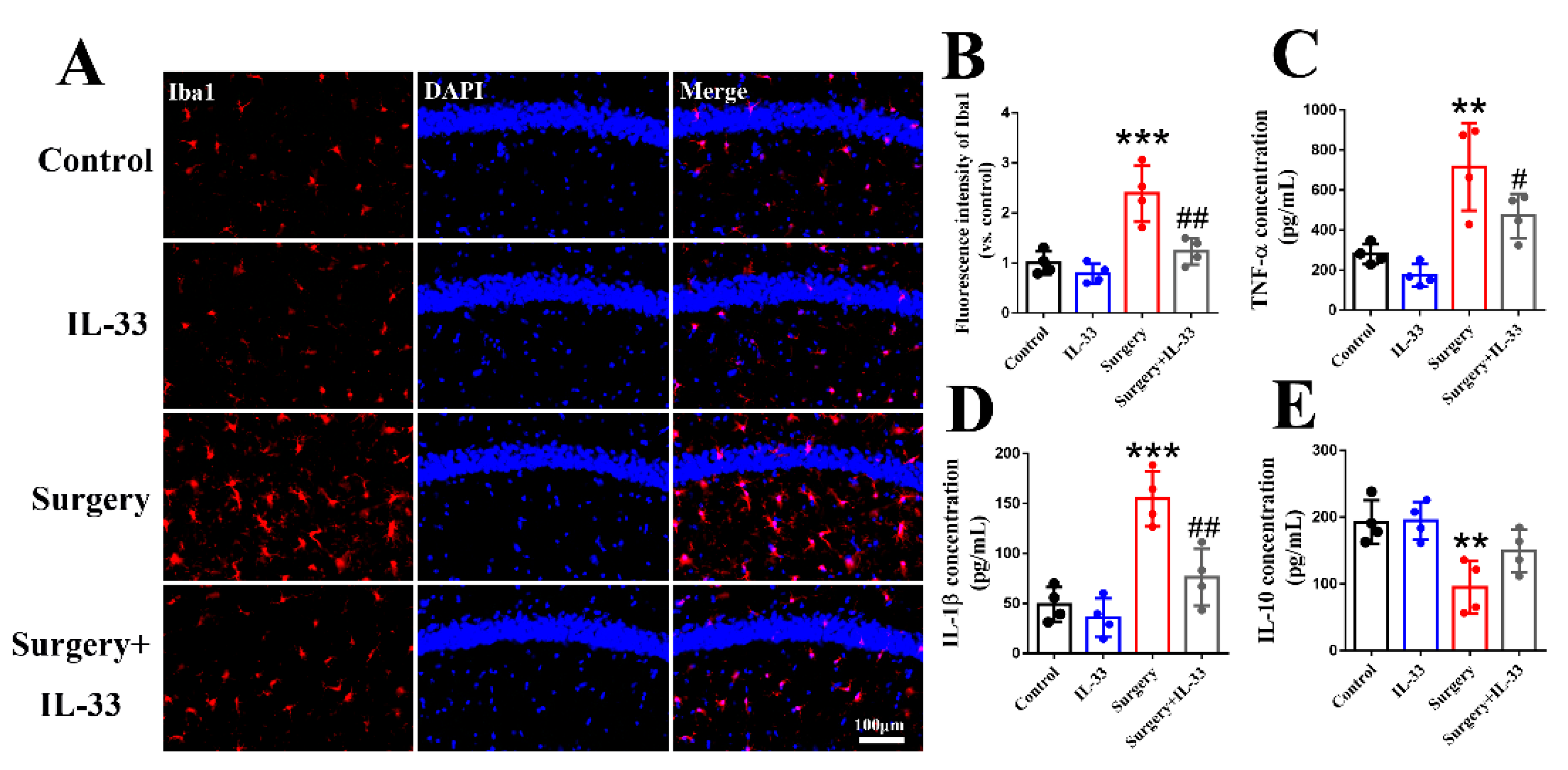Brainsci 12 01244 g003