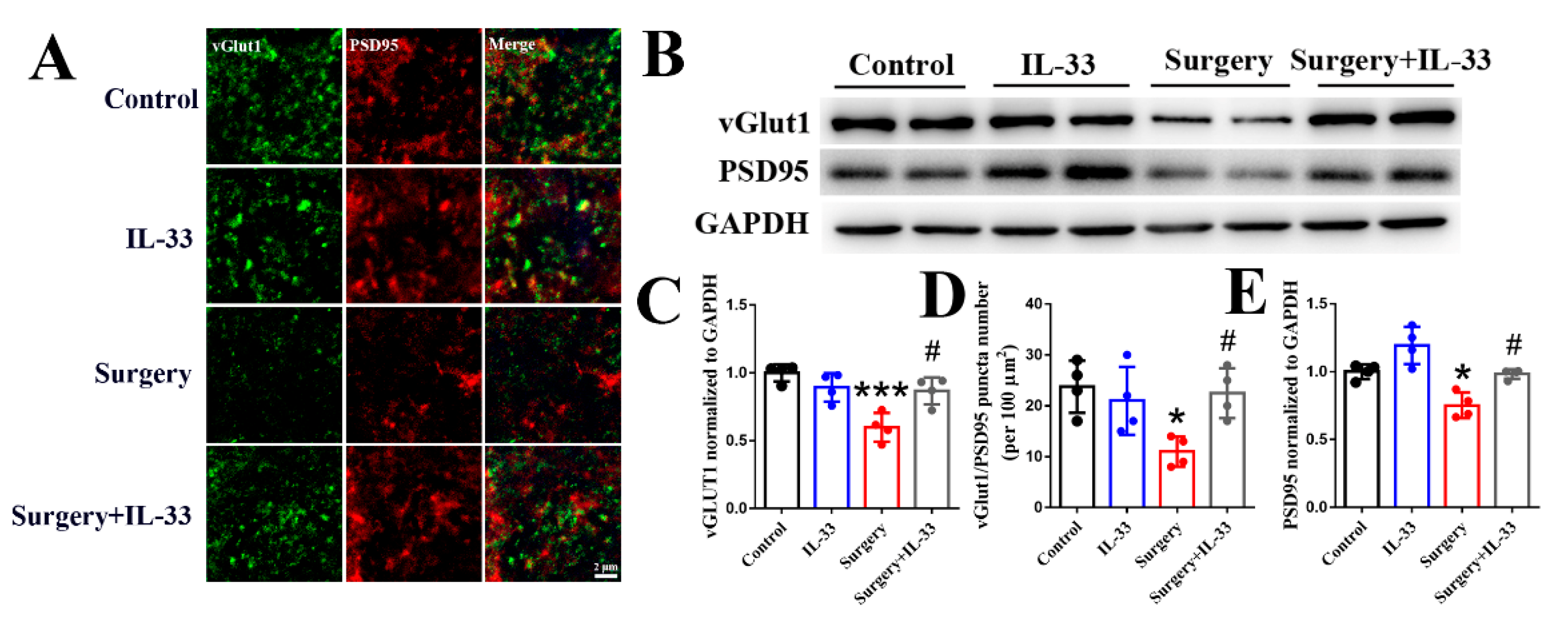 Brainsci 12 01244 g004