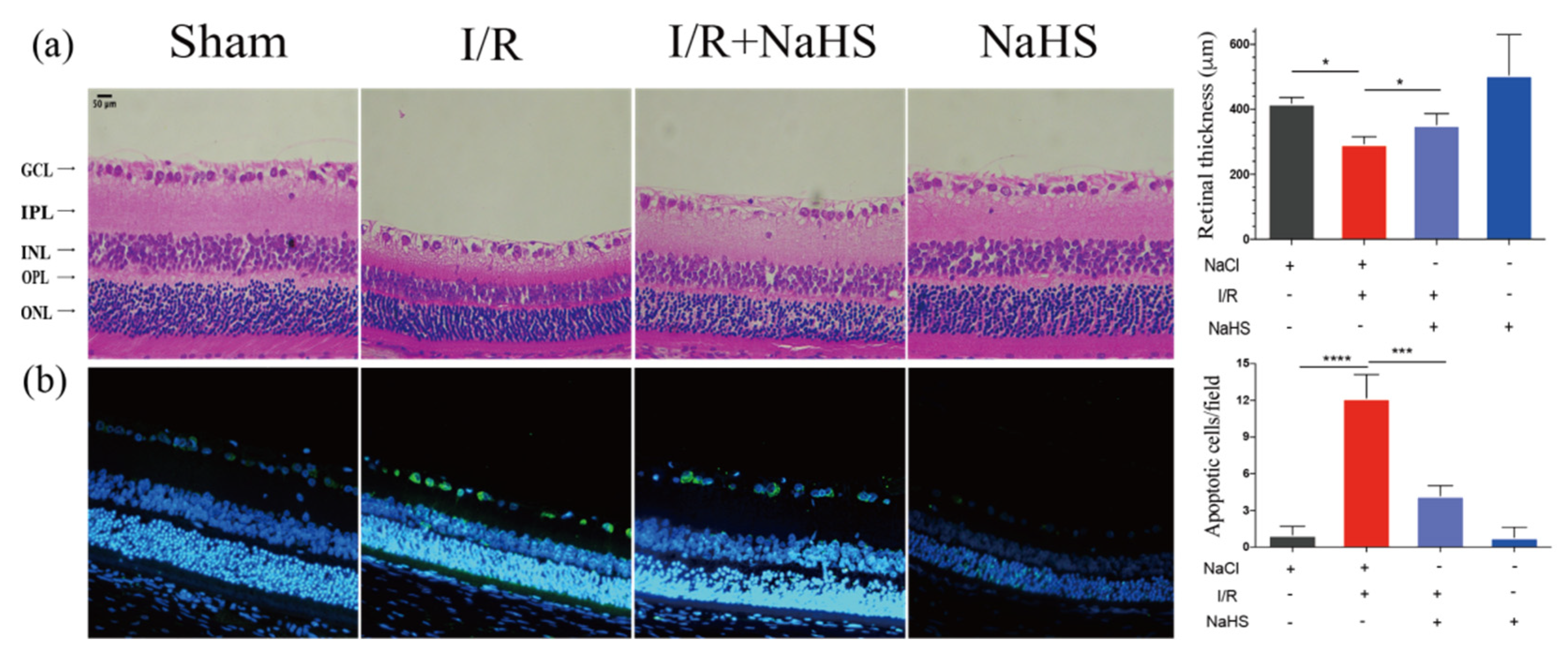 Brainsci 12 01245 g002