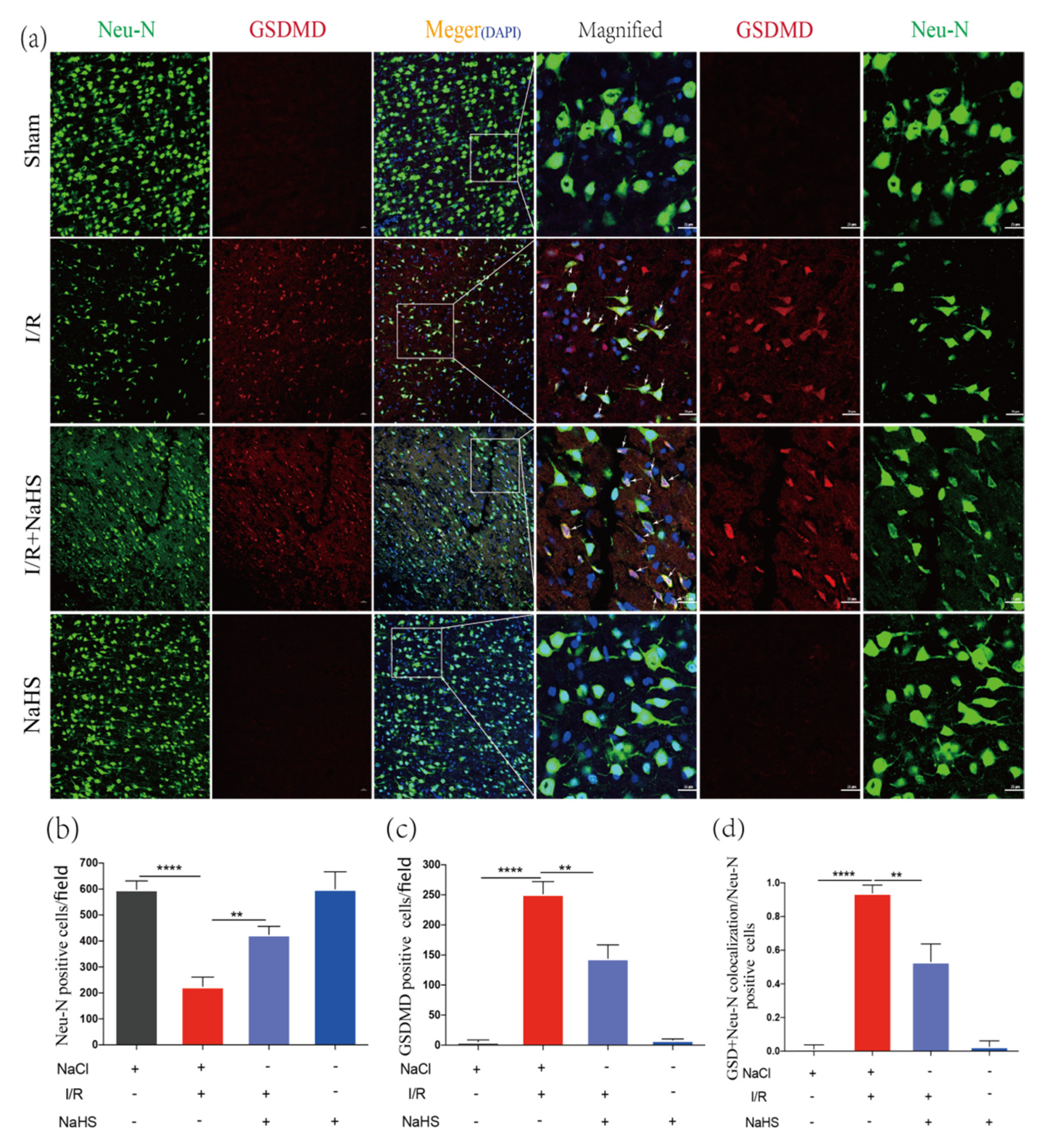 Brainsci 12 01245 g005