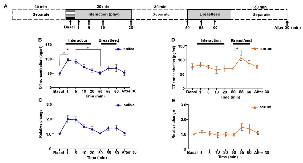 Brainsci 12 01246 g004