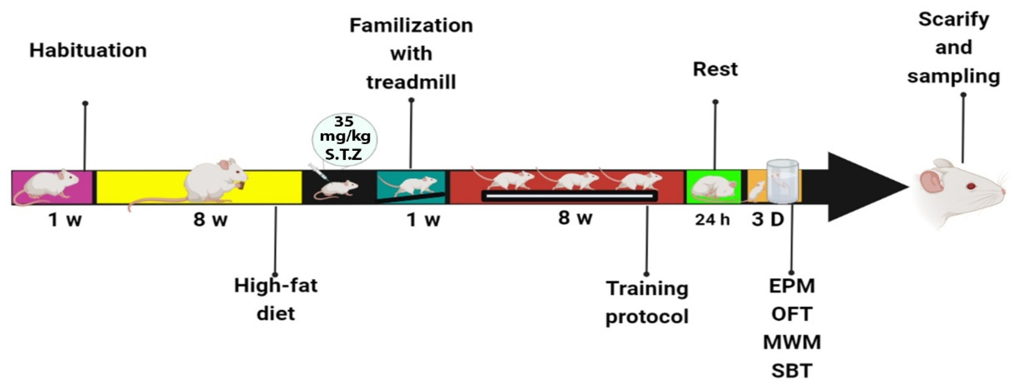 Brainsci 12 01280 g001