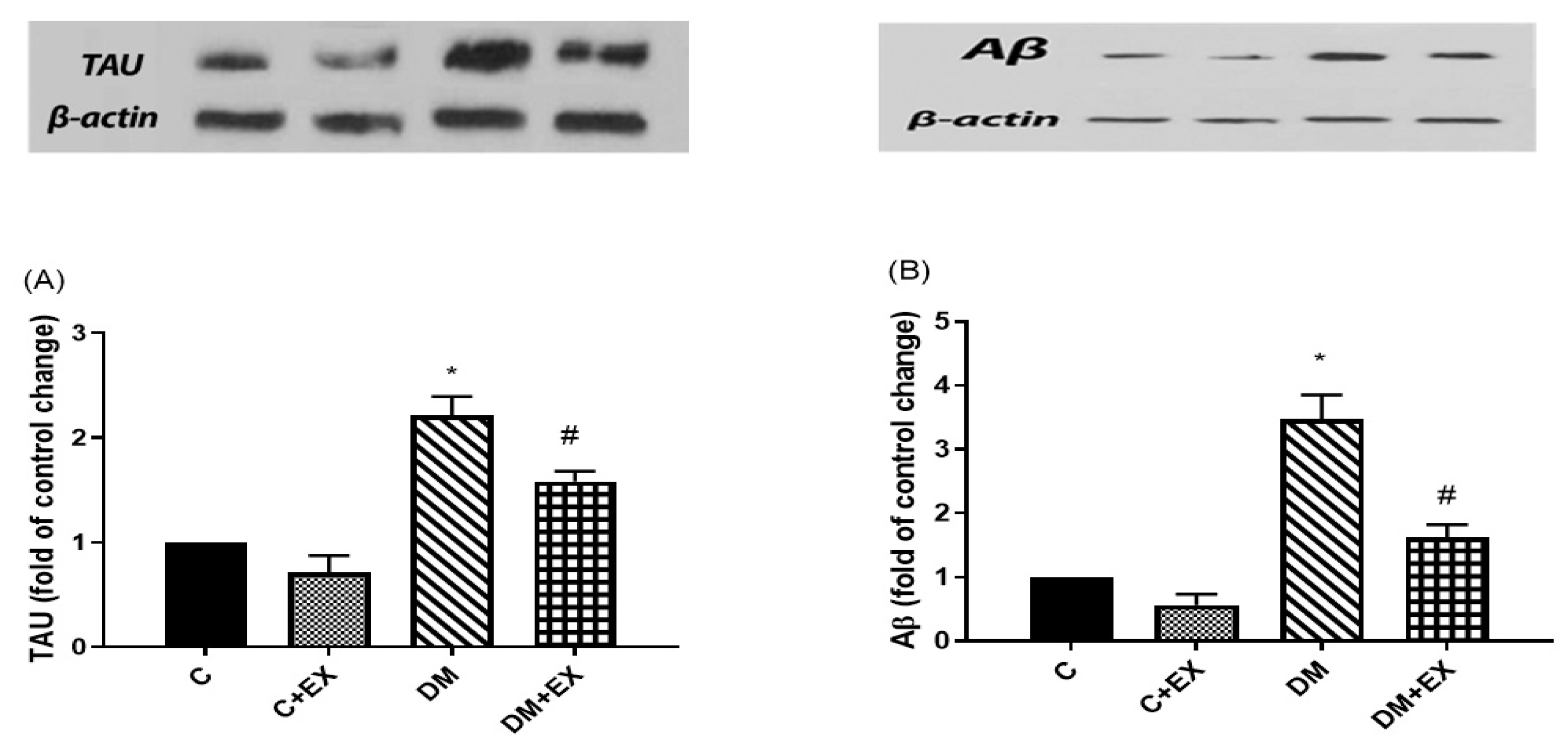 Brainsci 12 01280 g007