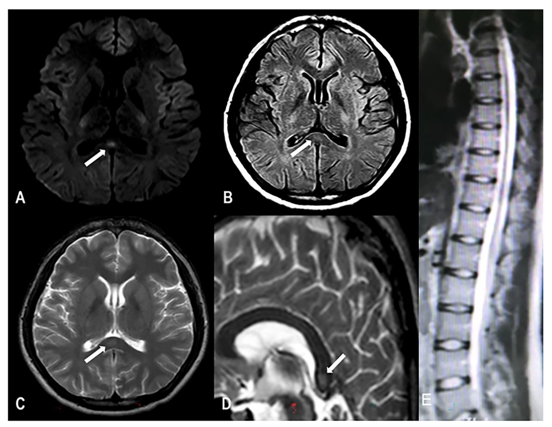 Brainsci 12 01284 g001