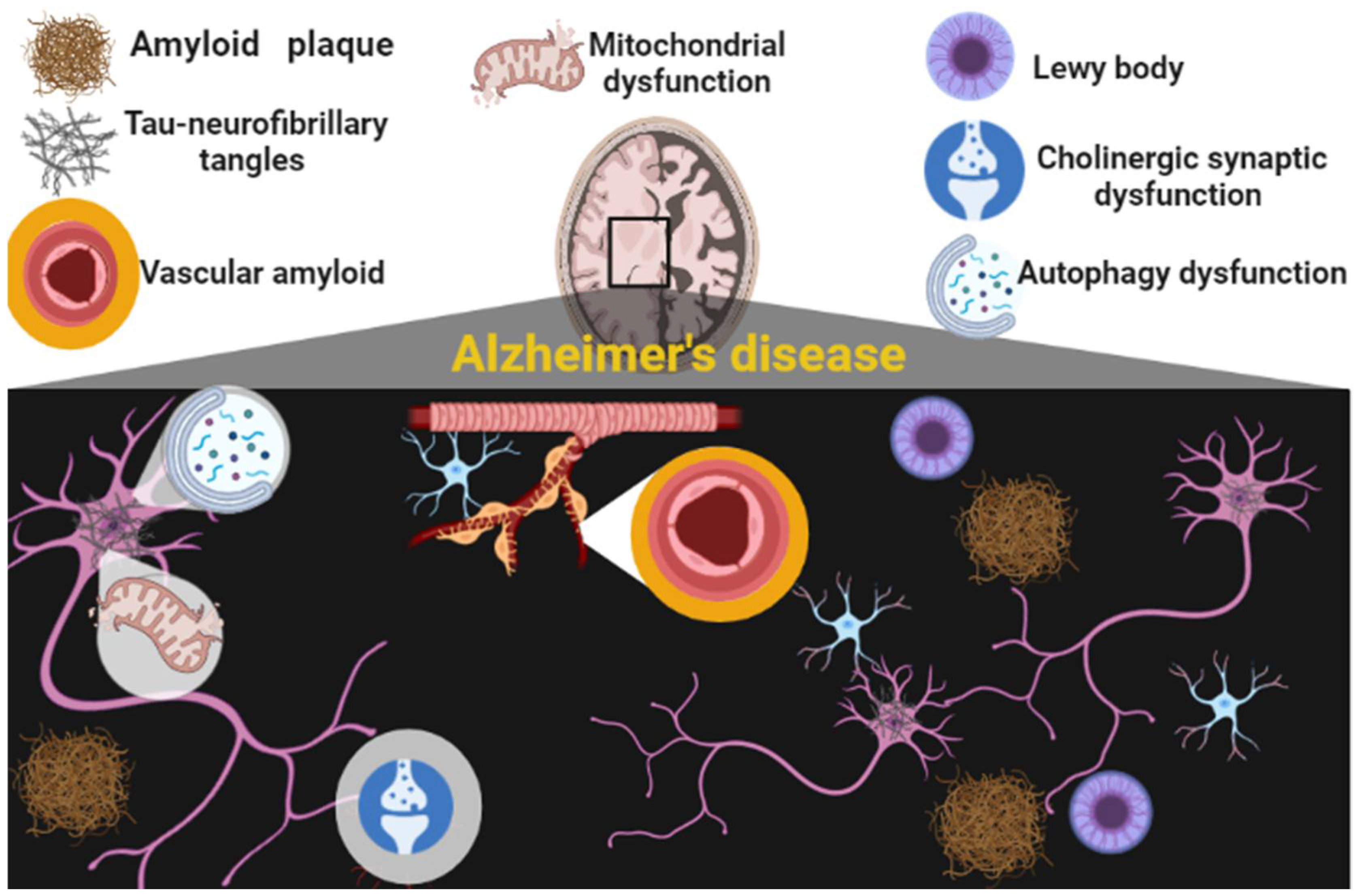 Brainsci 12 01290 g001