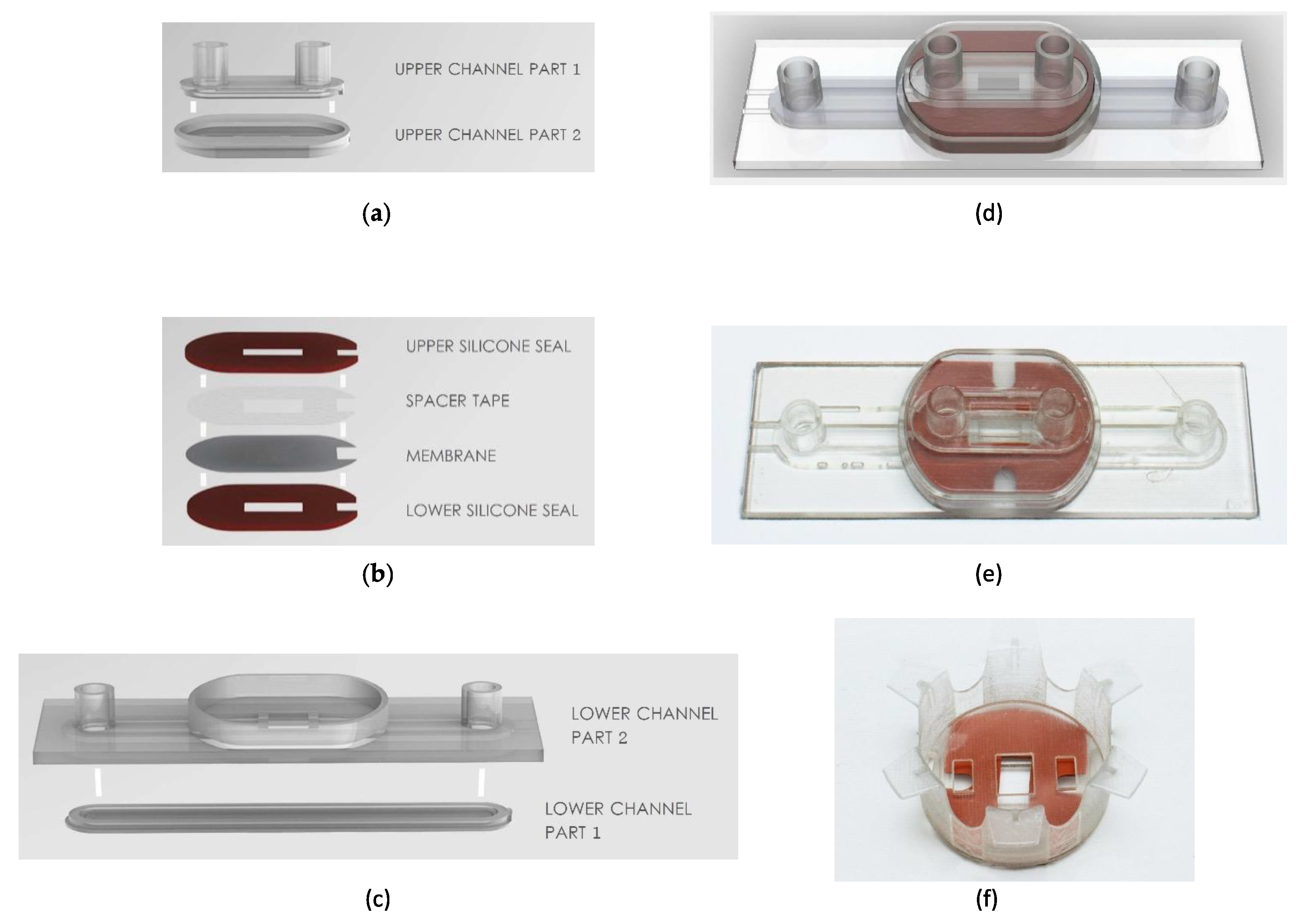 Brainsci 12 01293 g001