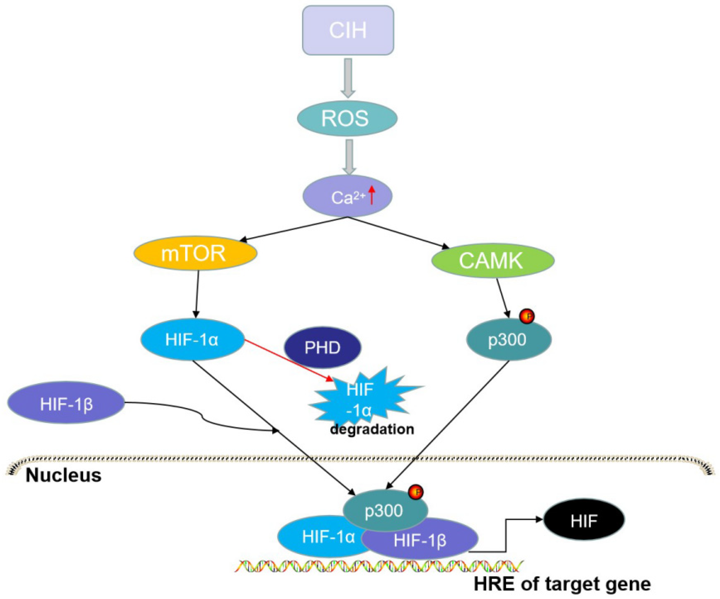 Brainsci 12 01303 g003 Brainsci 12 01303 g003