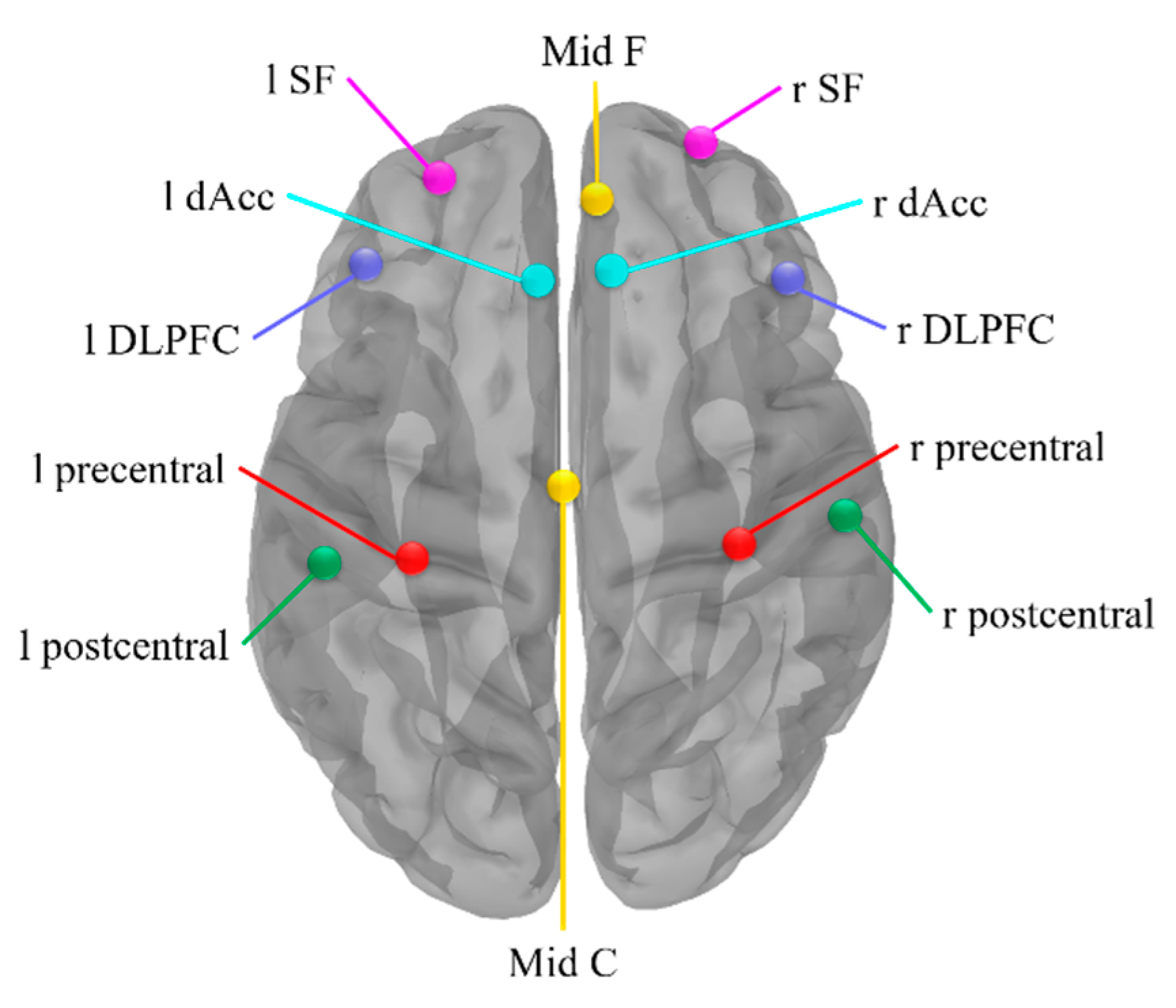 Brainsci 12 01304 g002