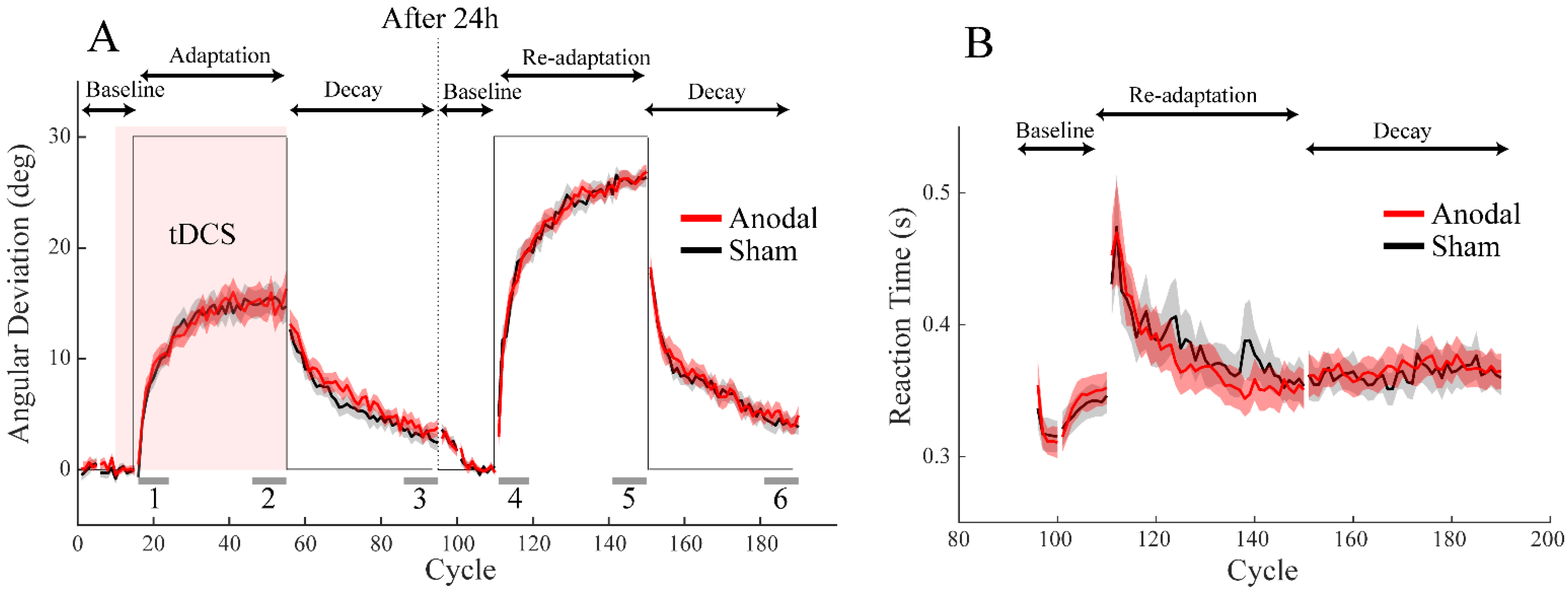 Brainsci 12 01325 g002