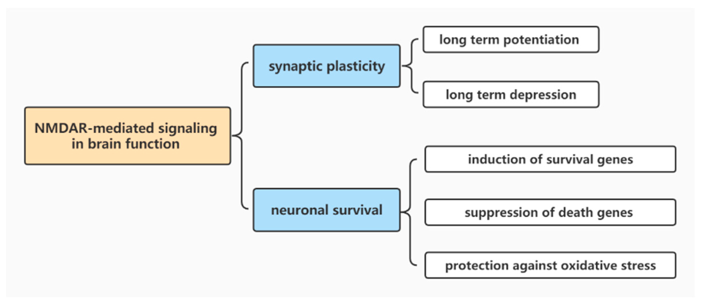 Brainsci 12 01329 g001