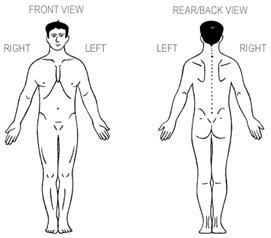 Brainsci 12 01331 i002