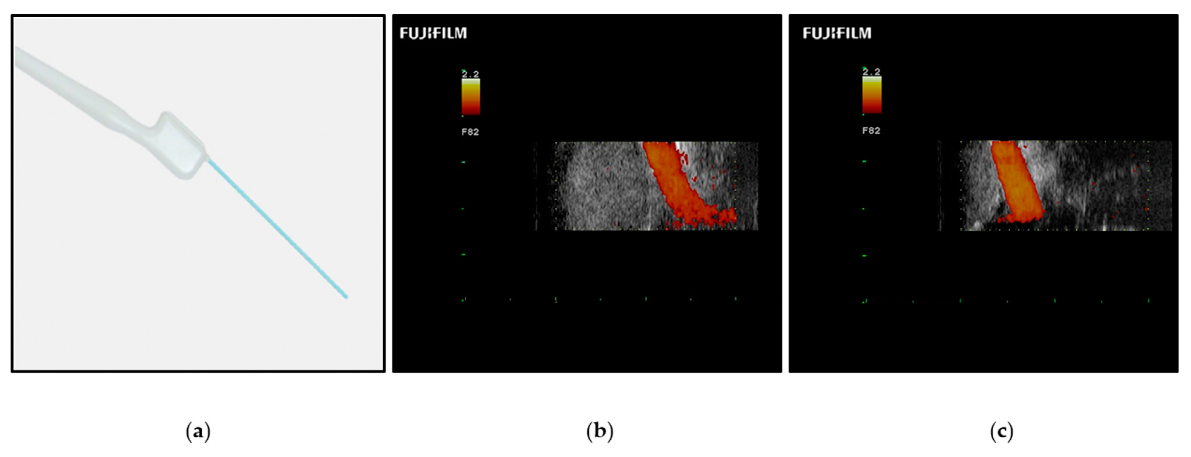 Brainsci 12 01337 g007 Brainsci 12 01337 g007