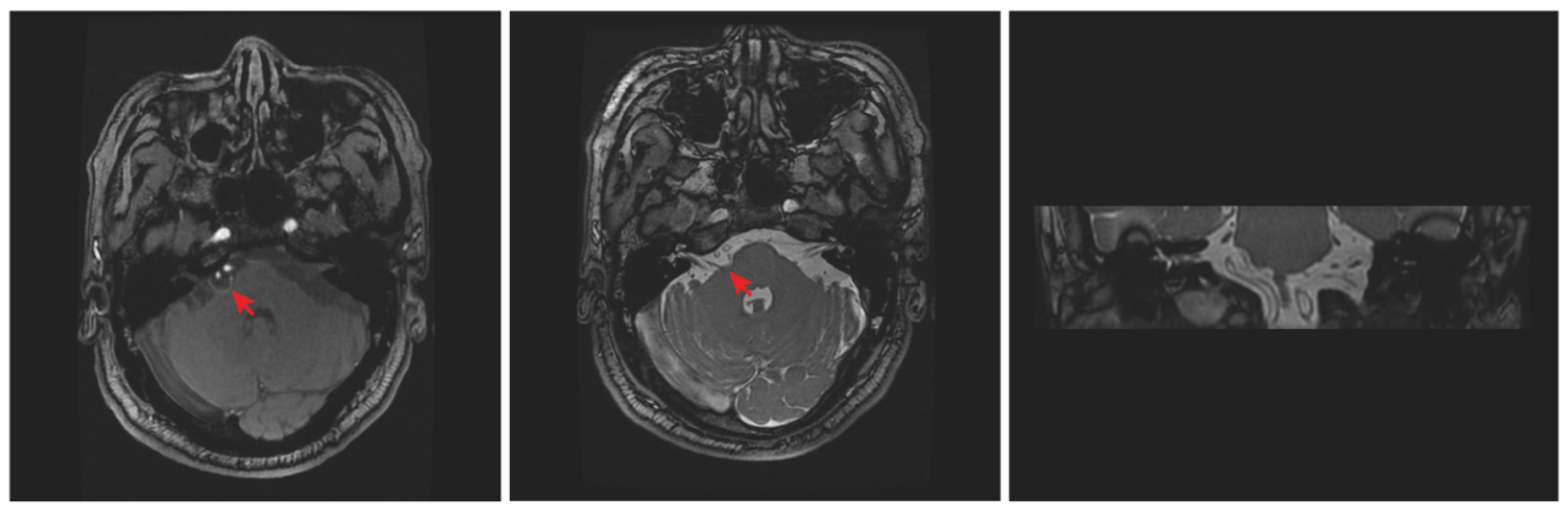 Brainsci 12 01347 g001