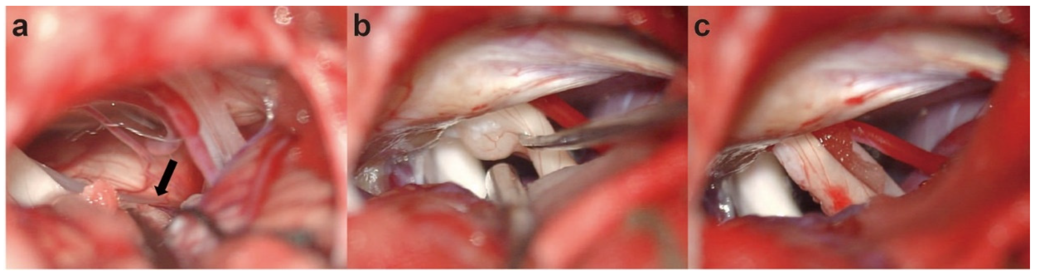 Brainsci 12 01347 g002