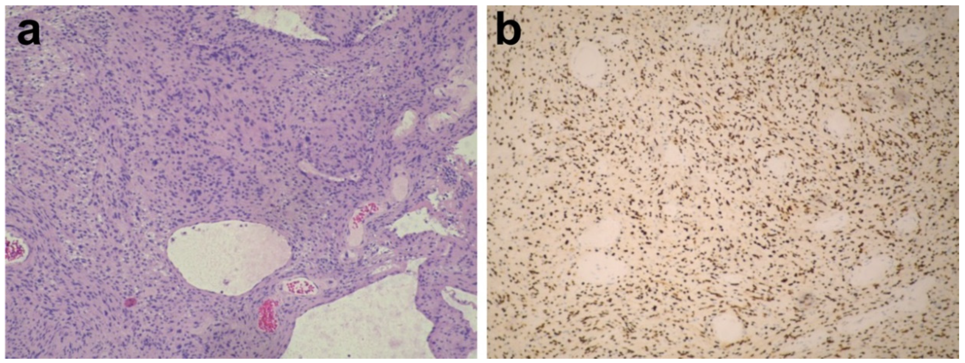 Brainsci 12 01347 g003