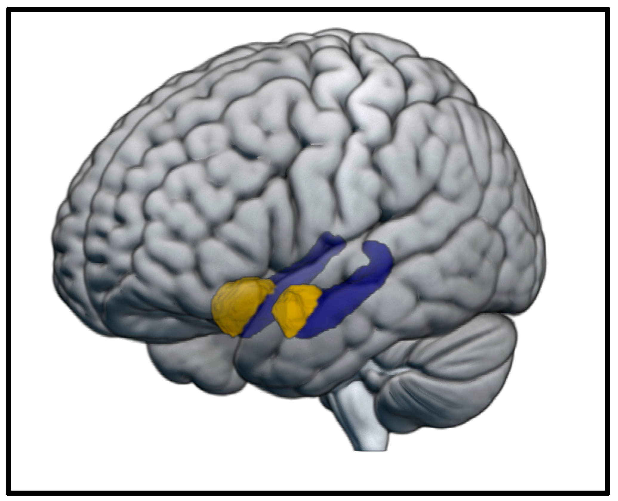 Brainsci 12 01360 g002