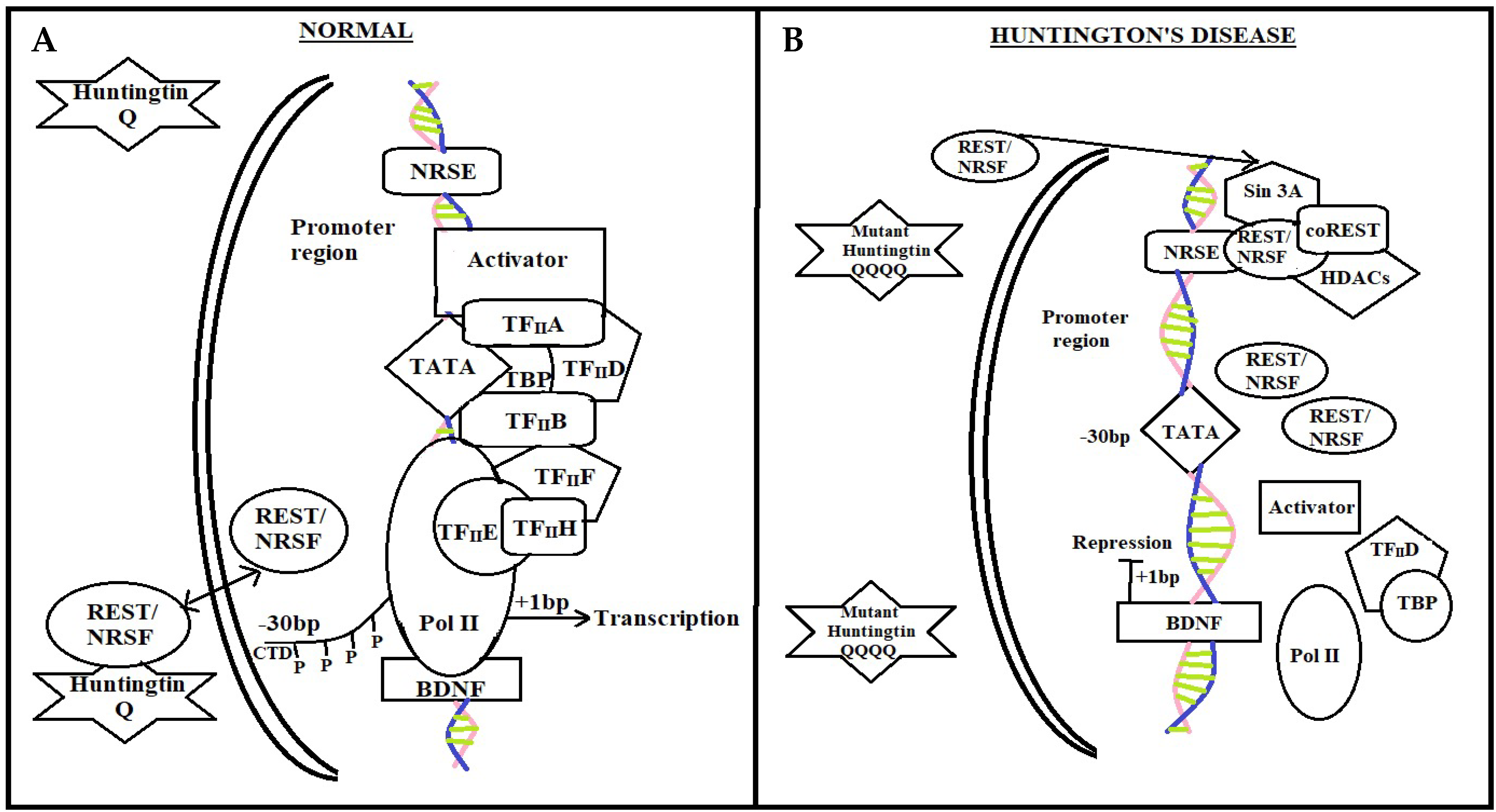 Brainsci 12 01389 g002
