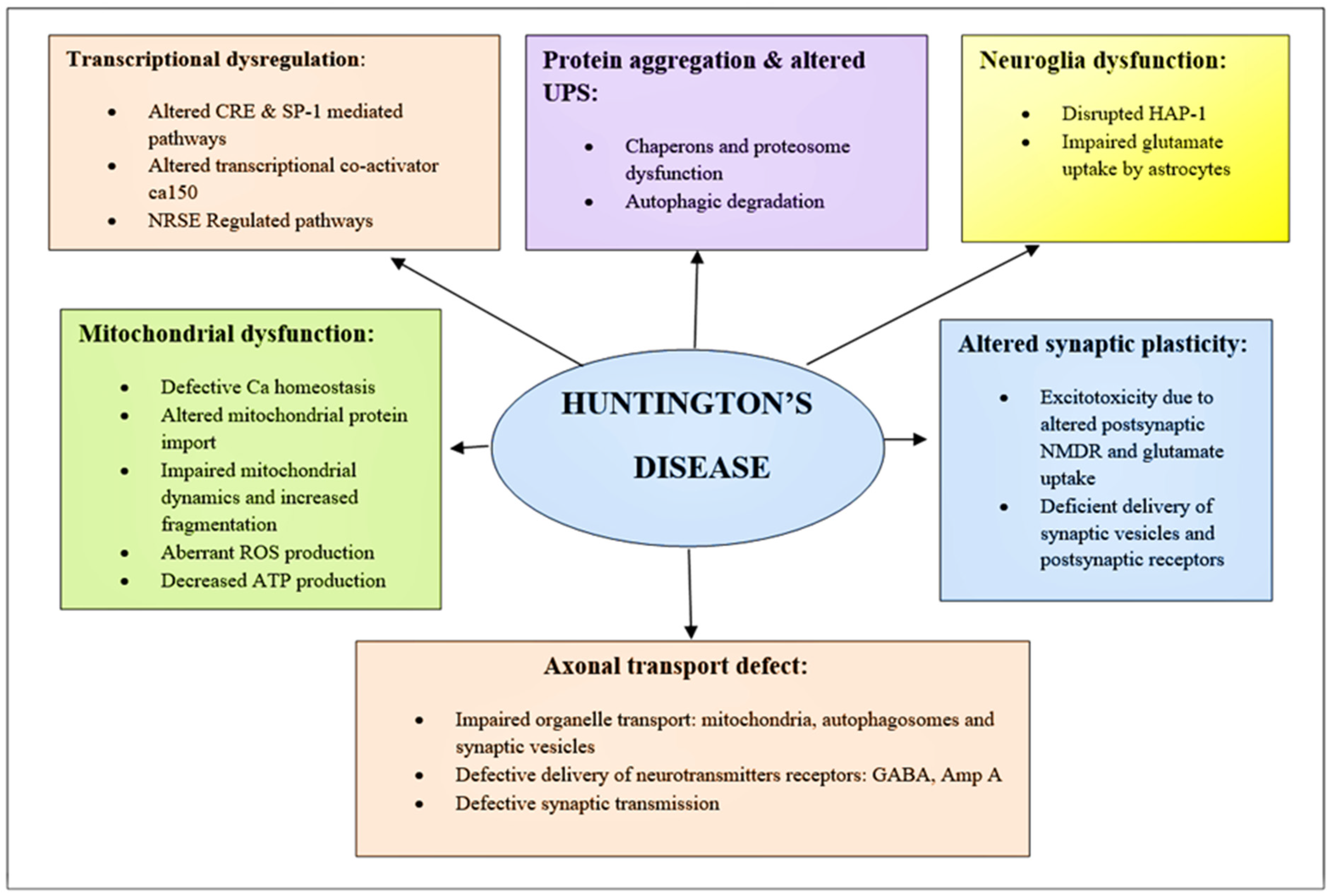 Brainsci 12 01389 g003