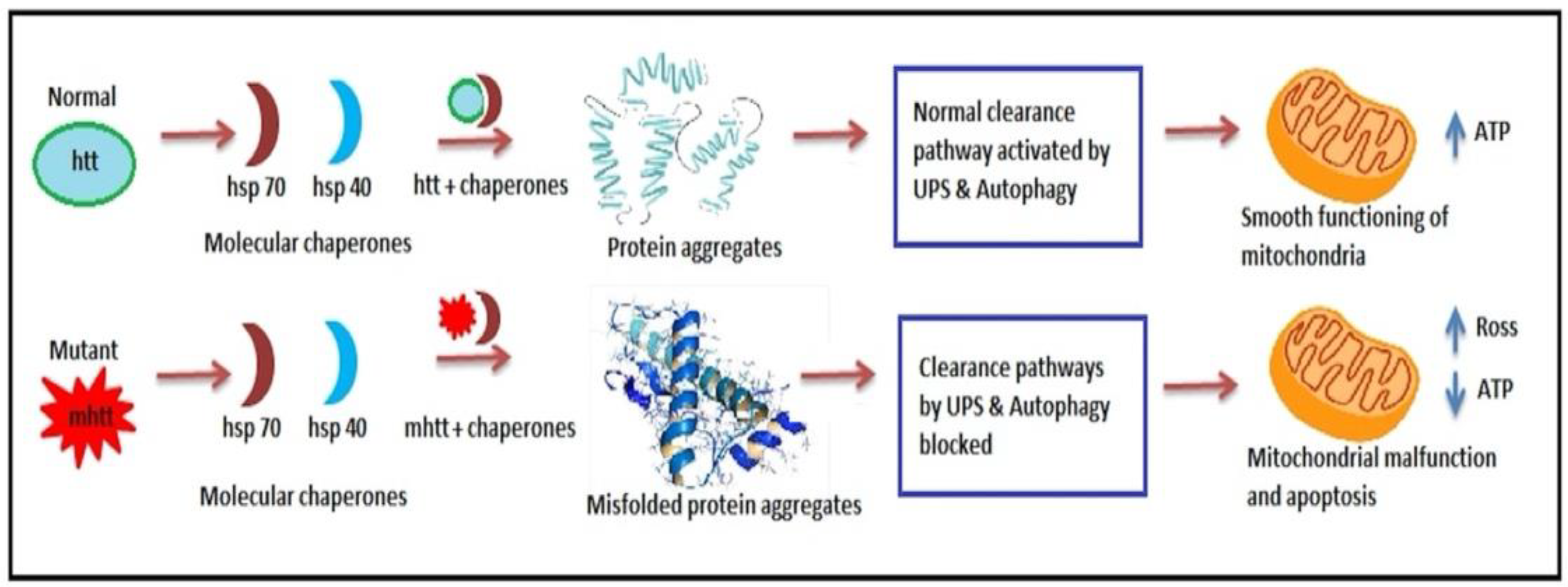 Brainsci 12 01389 g004