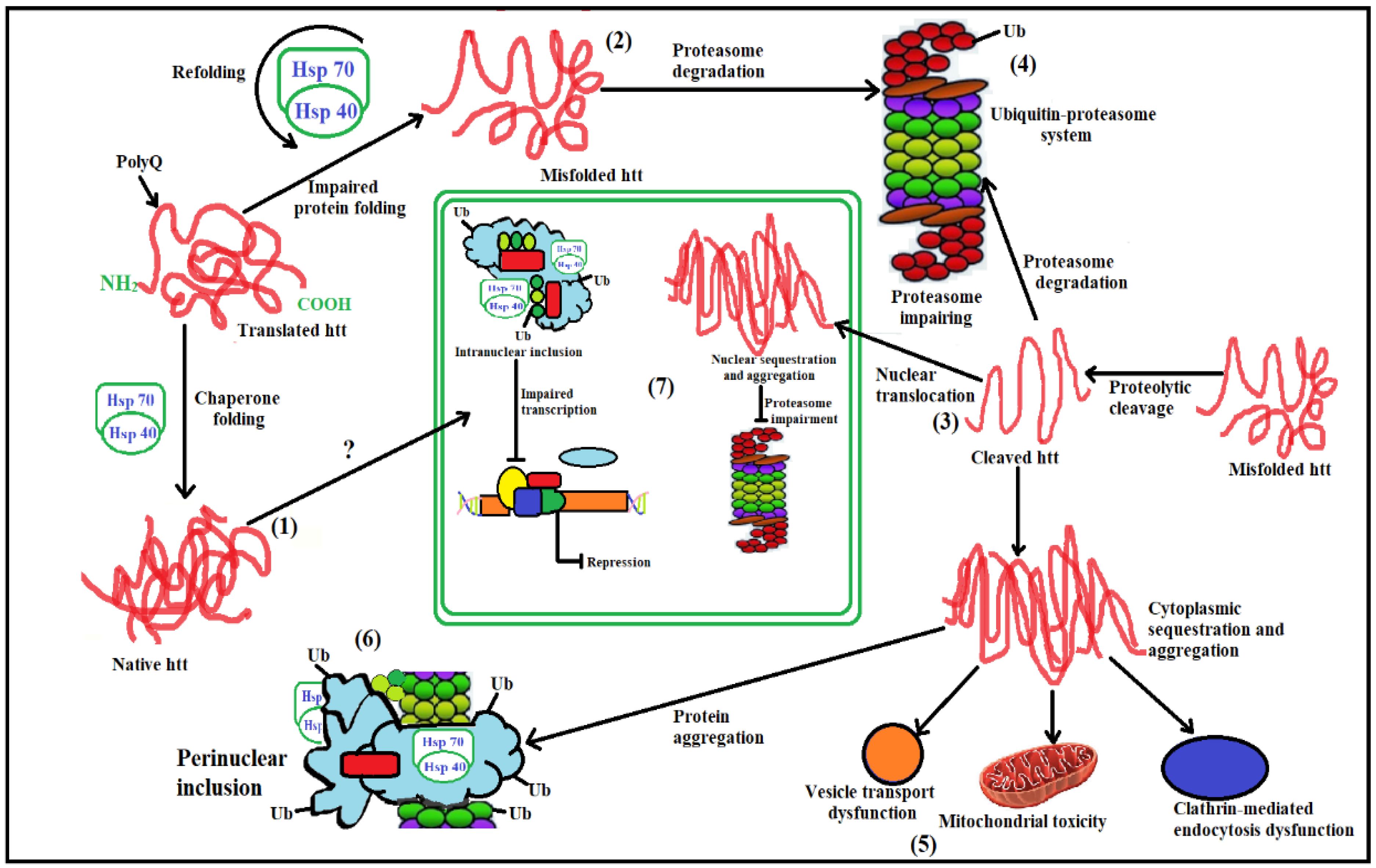 Brainsci 12 01389 g005