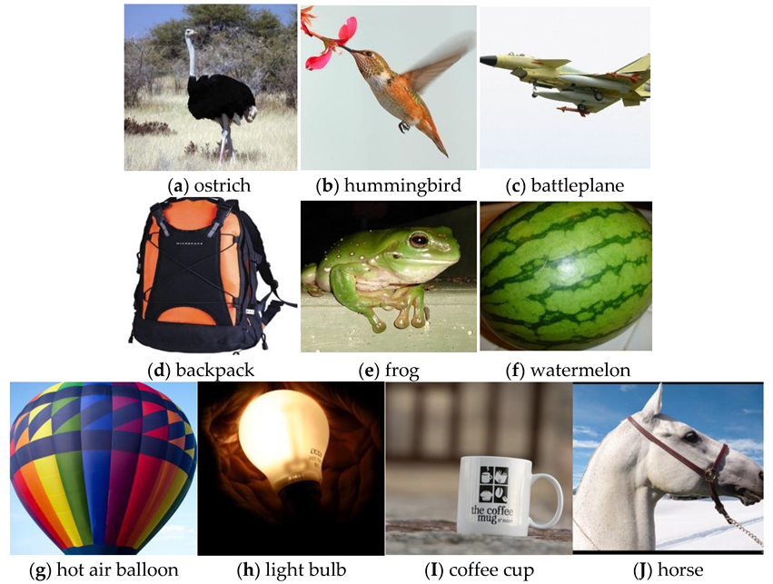 Brainsci 12 01394 g007